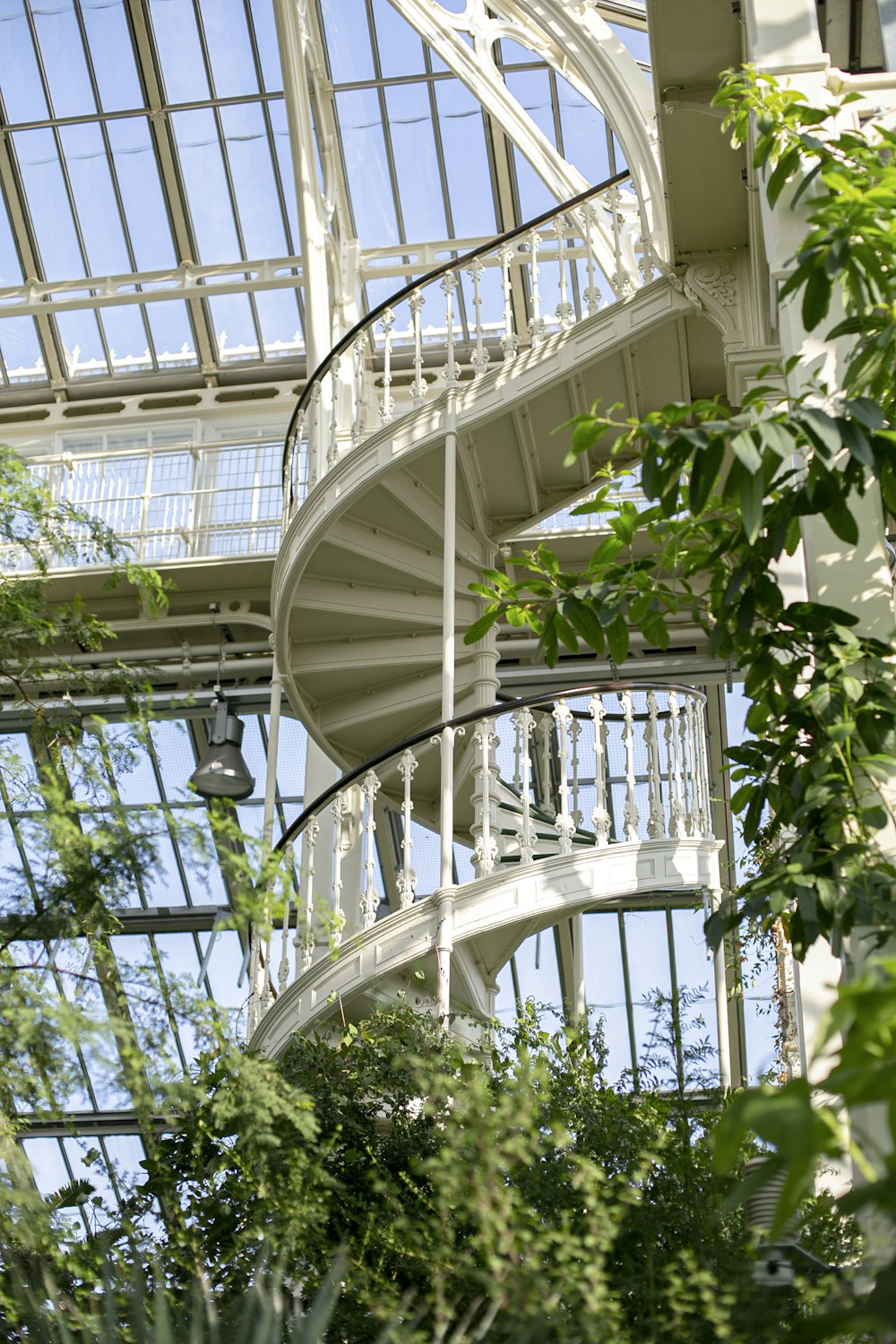 흰색 나선형 계단 근처의 녹색 식물
