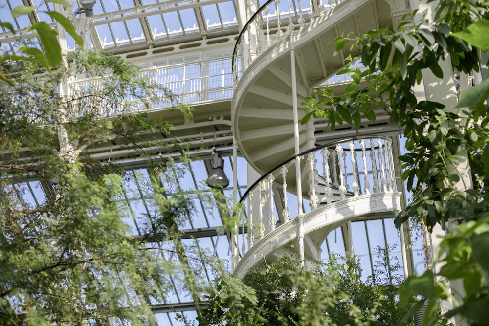 green plant on white spiral staircase