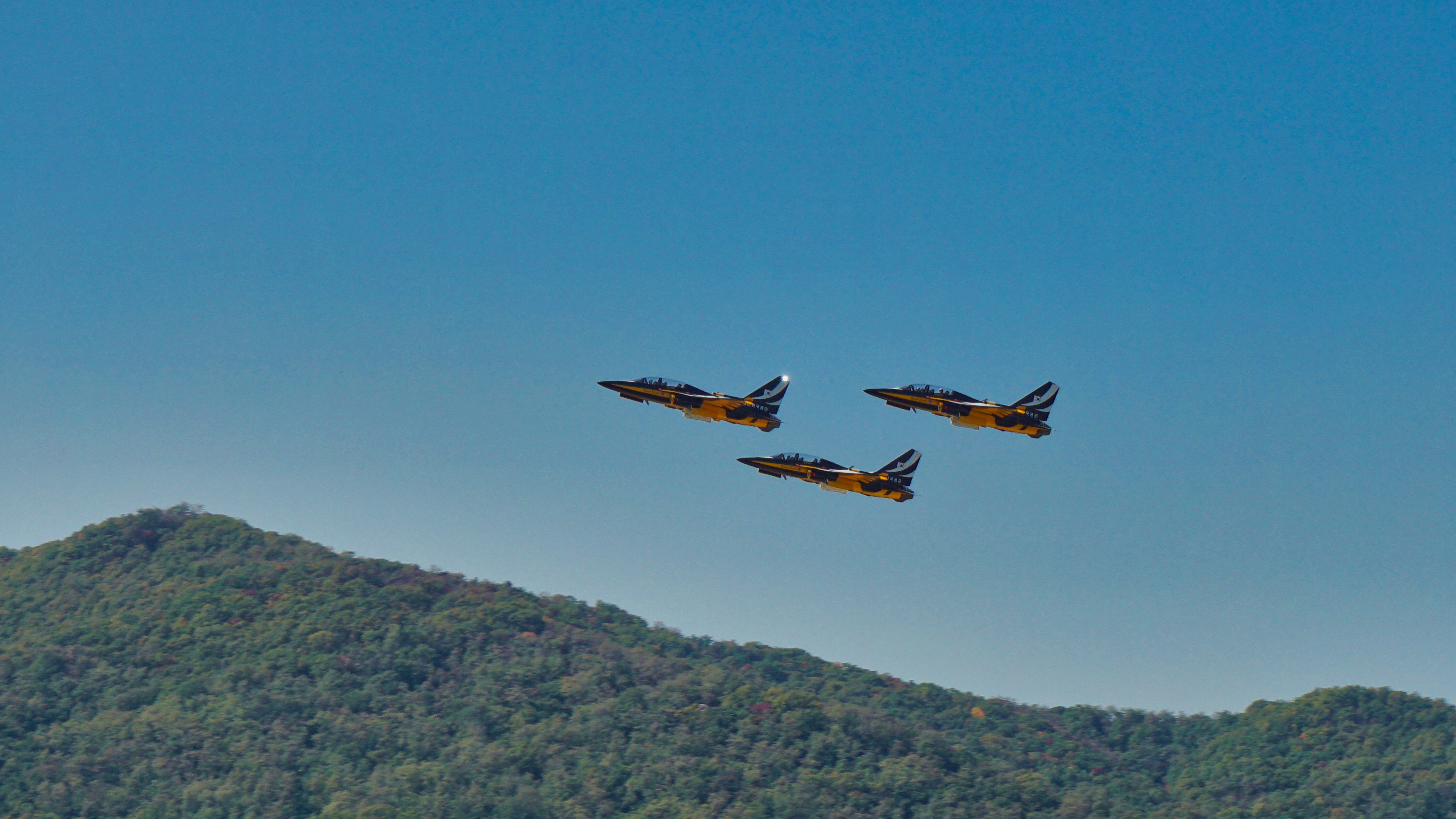 orange and black bird flying over green mountain during daytime