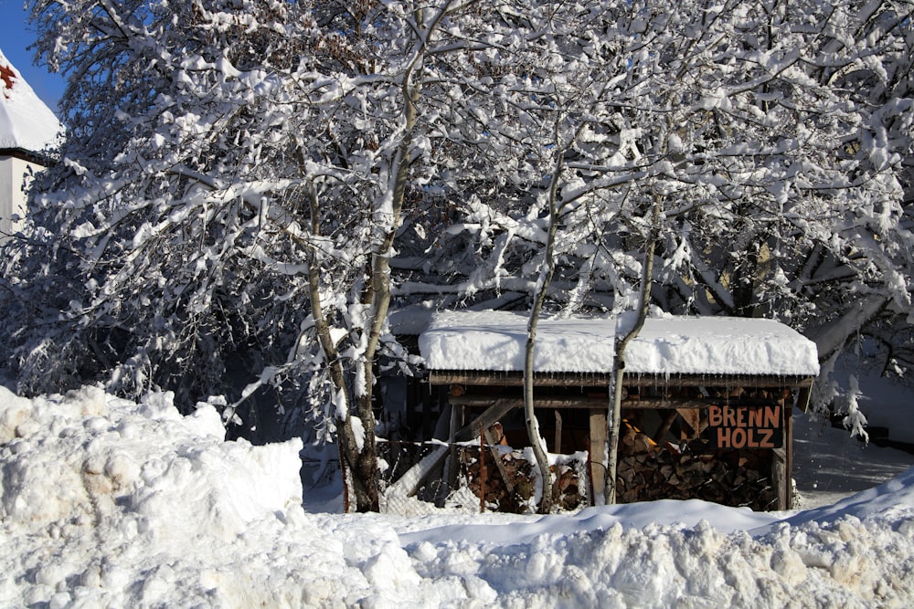 brown wooden house covered with snow