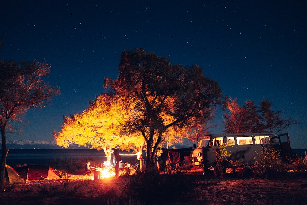 people sitting on grass field near trees during night time