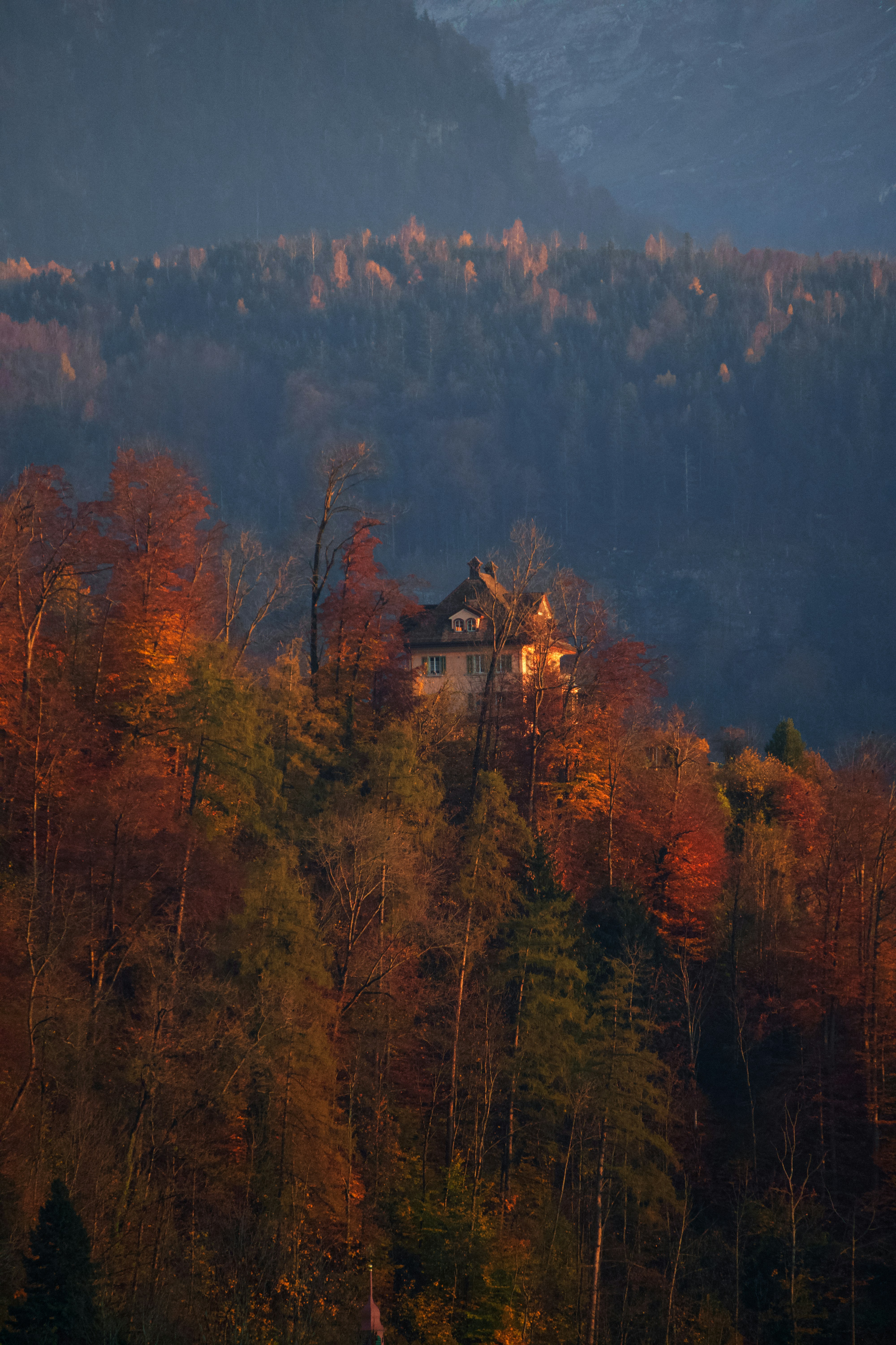 Photo by bernhardvisuals