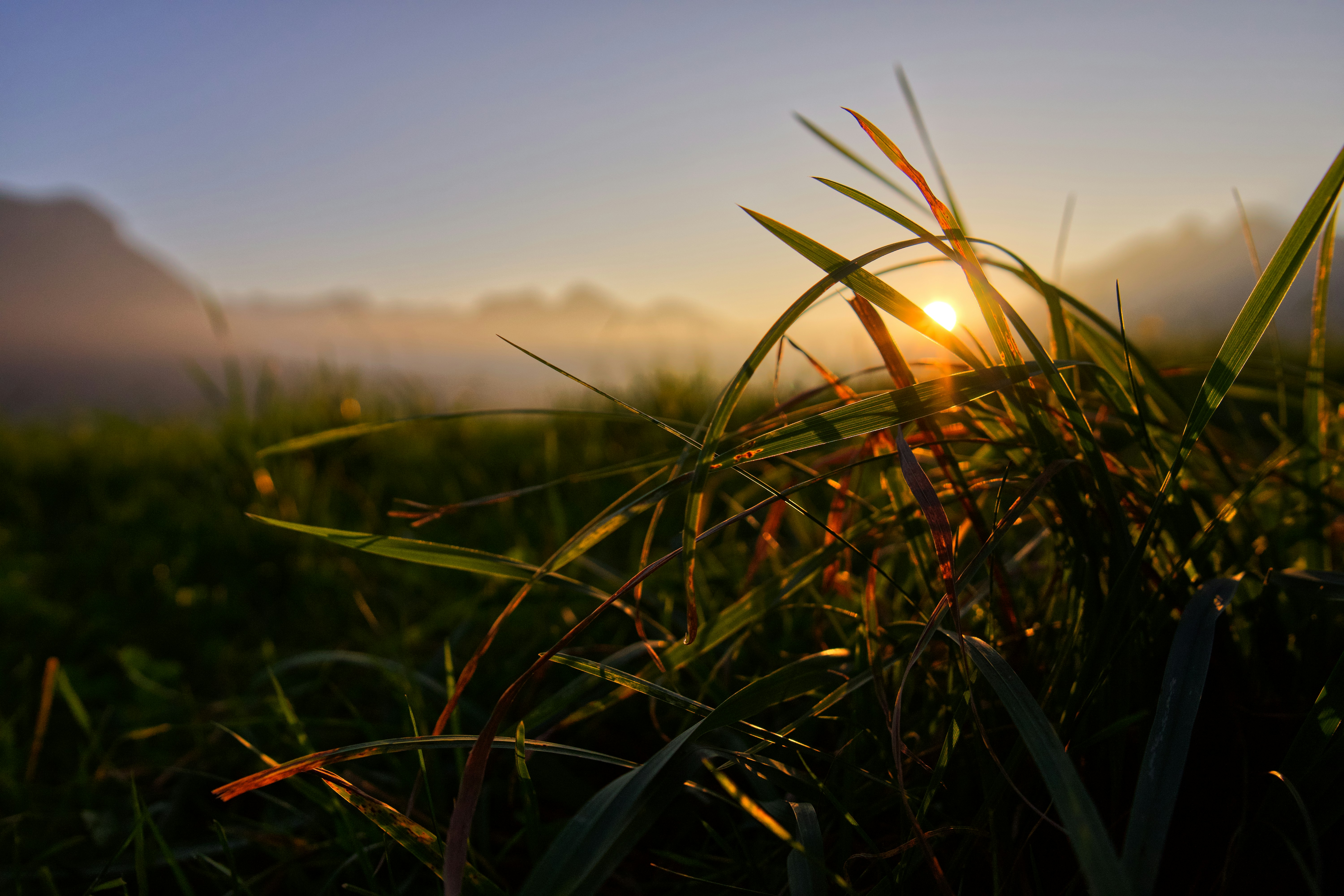 Photo by bernhardvisuals