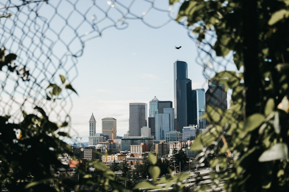 city skyline under white sky during daytime