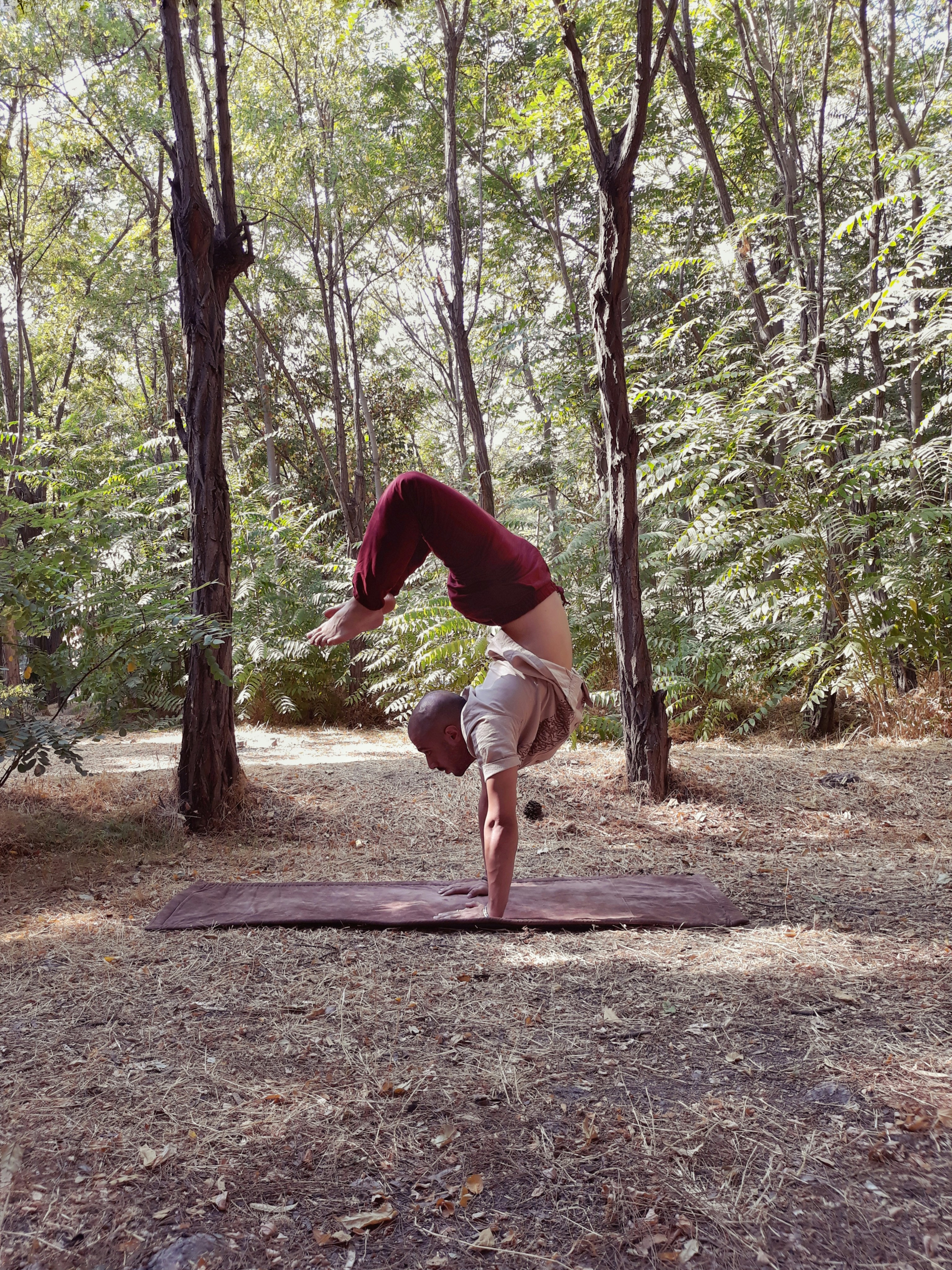 Forest Flow Yoga Mat