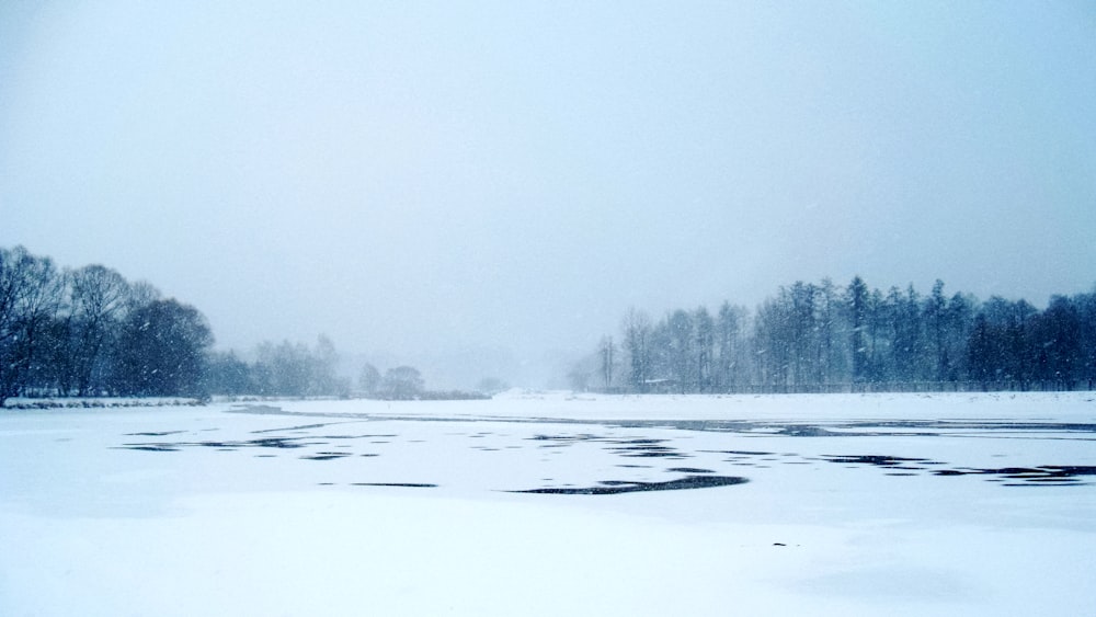 snow covered field and trees during daytime