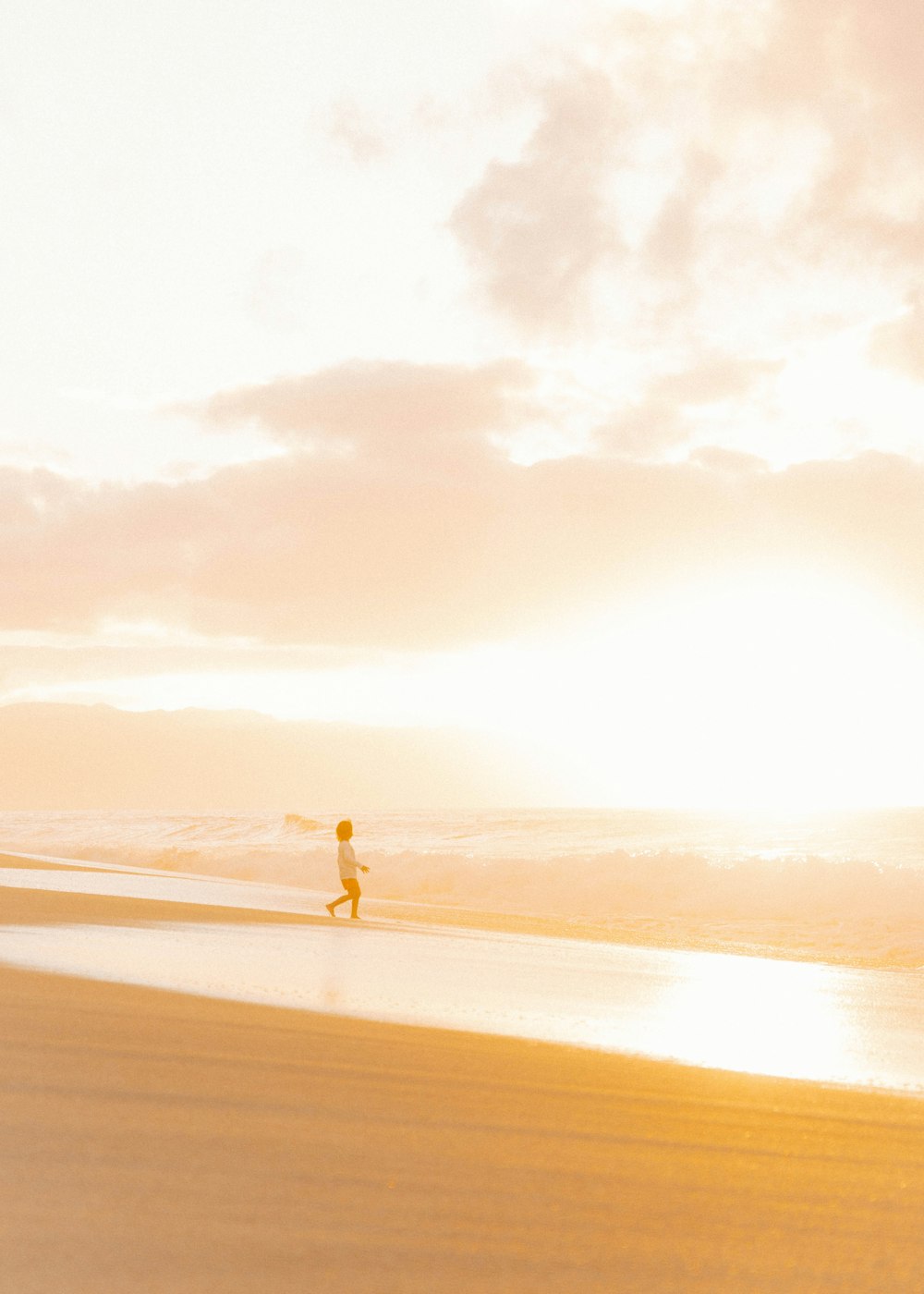 person walking on brown sand beach during daytime