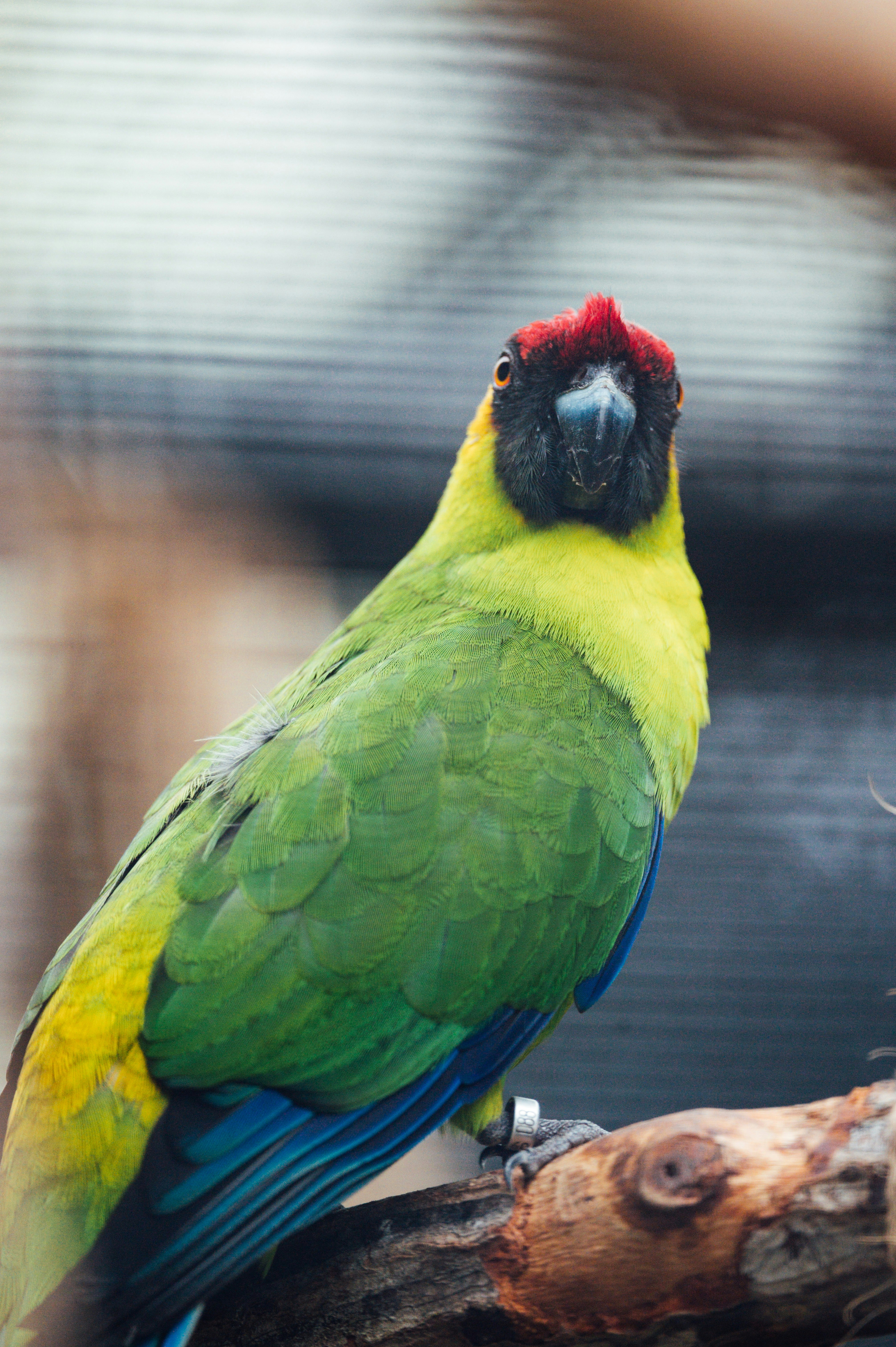 Photo by chuttersnap