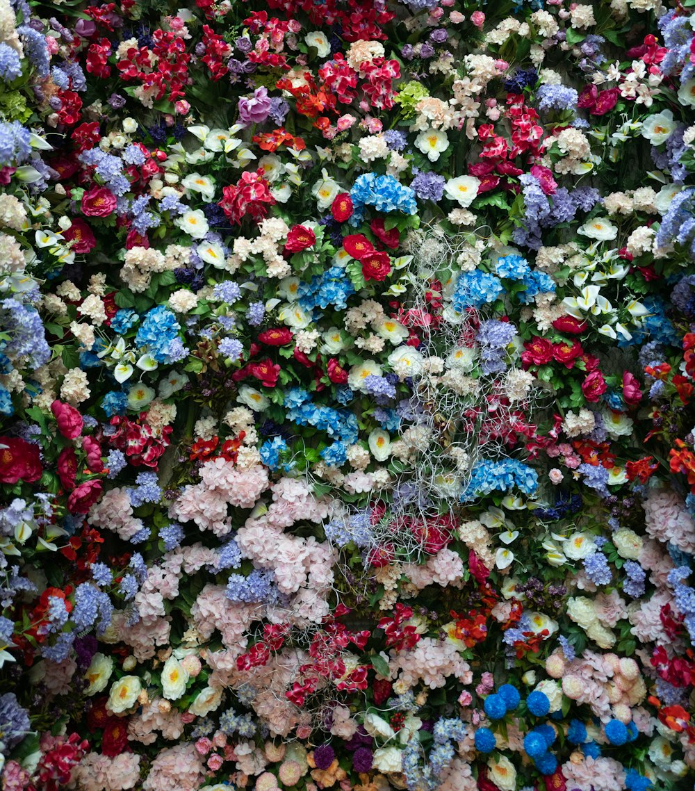 white red and blue flower petals