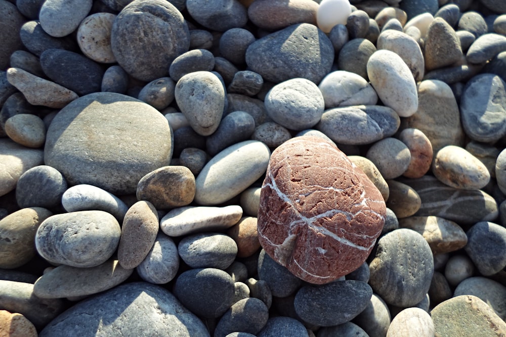 brown and gray stones on gray and black stones