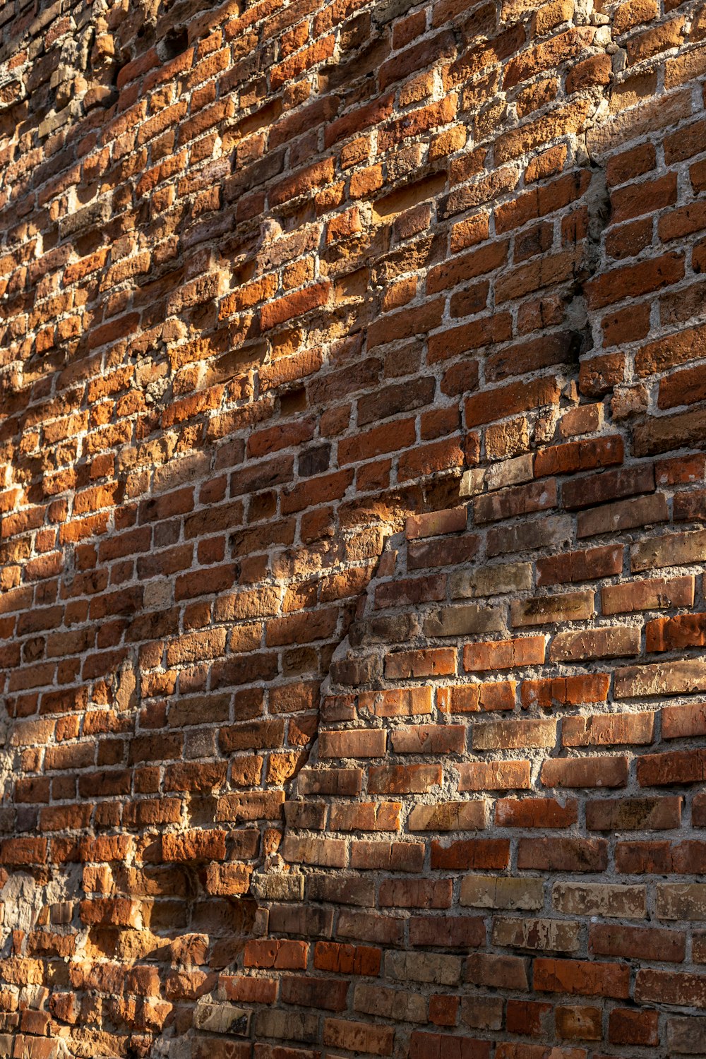 Pared de ladrillo marrón y blanco