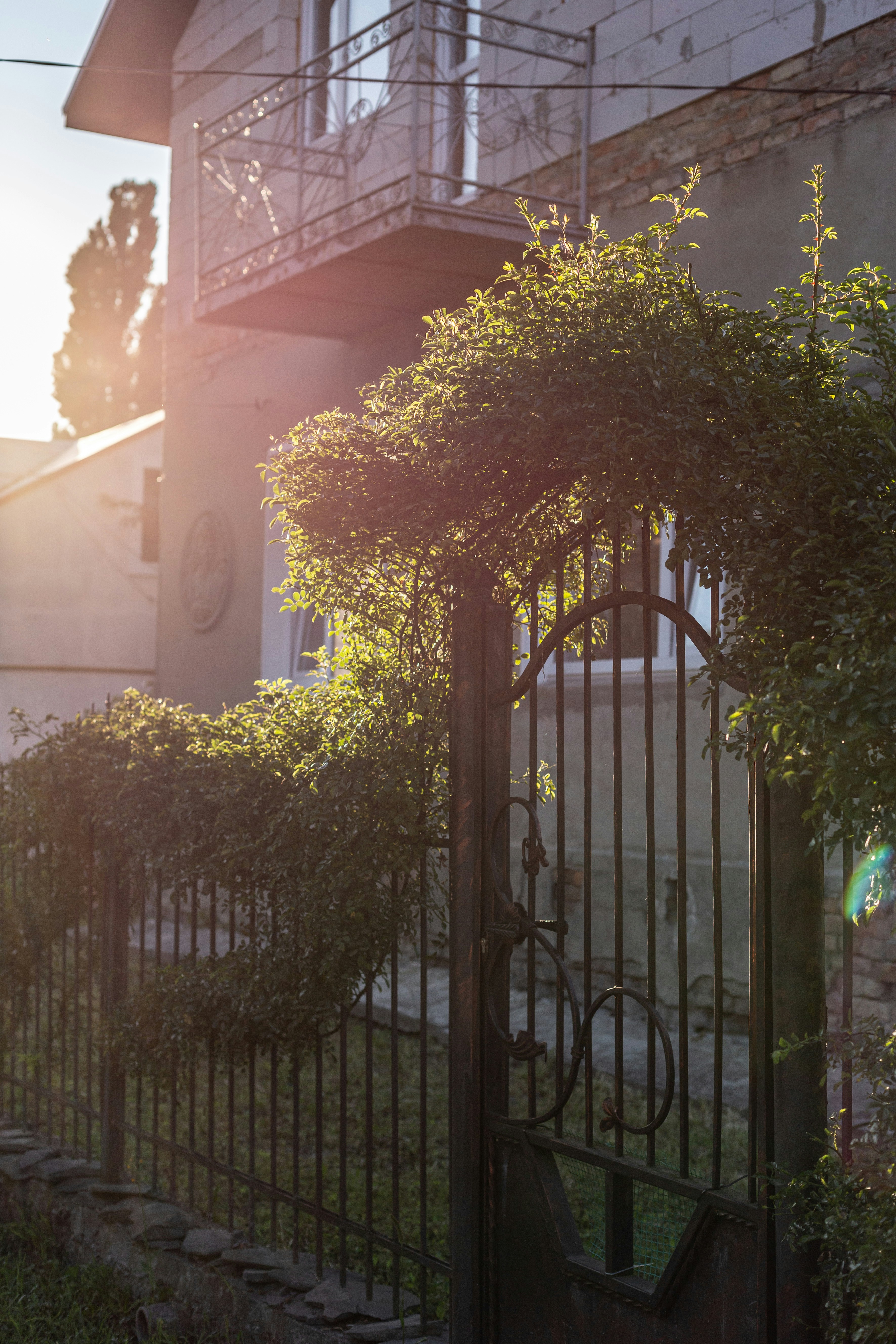 昼間の白いコンクリートの建物の近くの緑と黄色の木