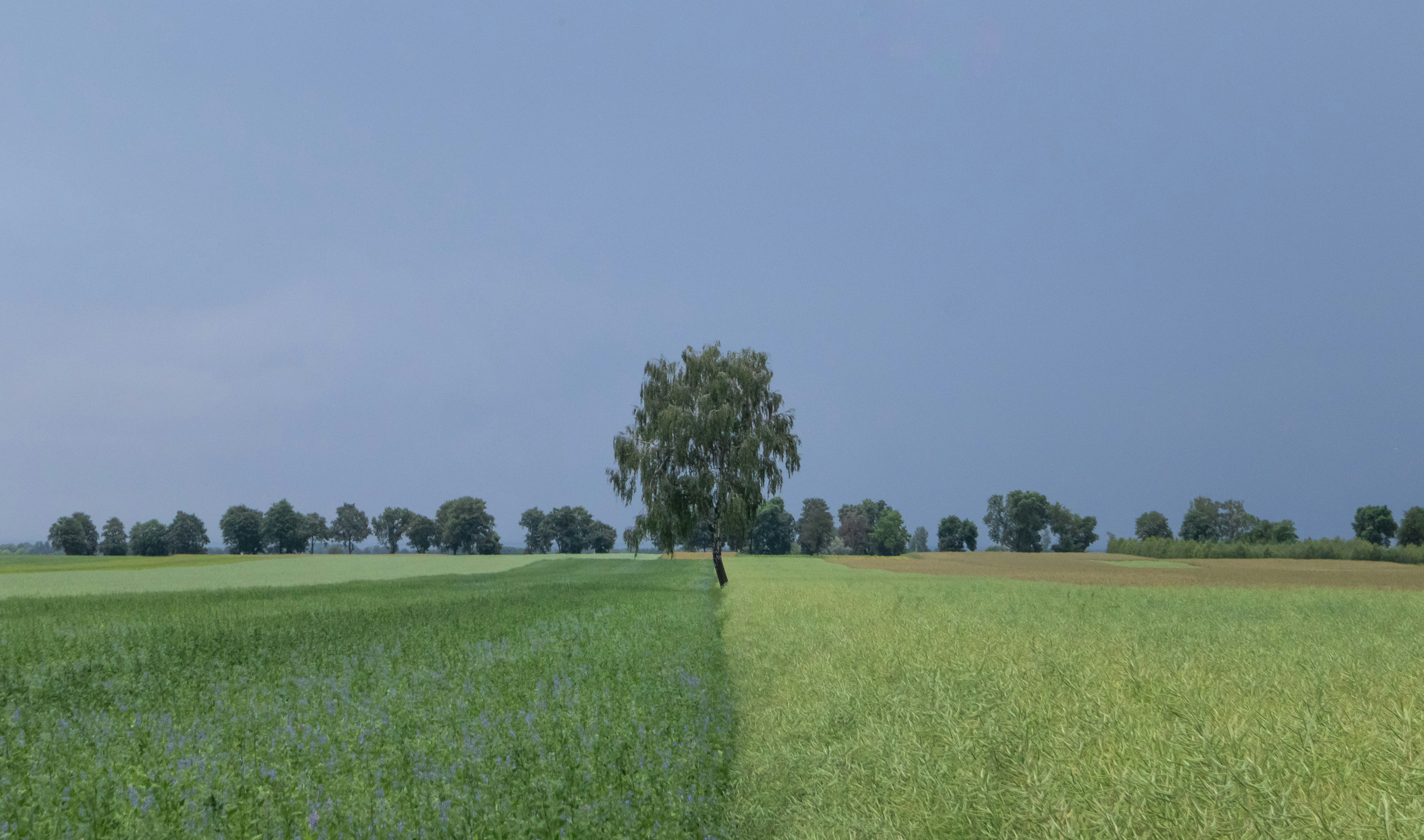 Photo by kacperstaszczyk