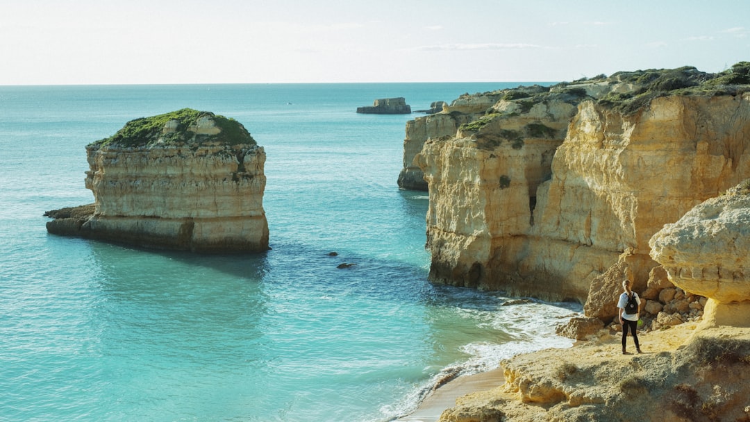 brown rock formation on sea during daytime