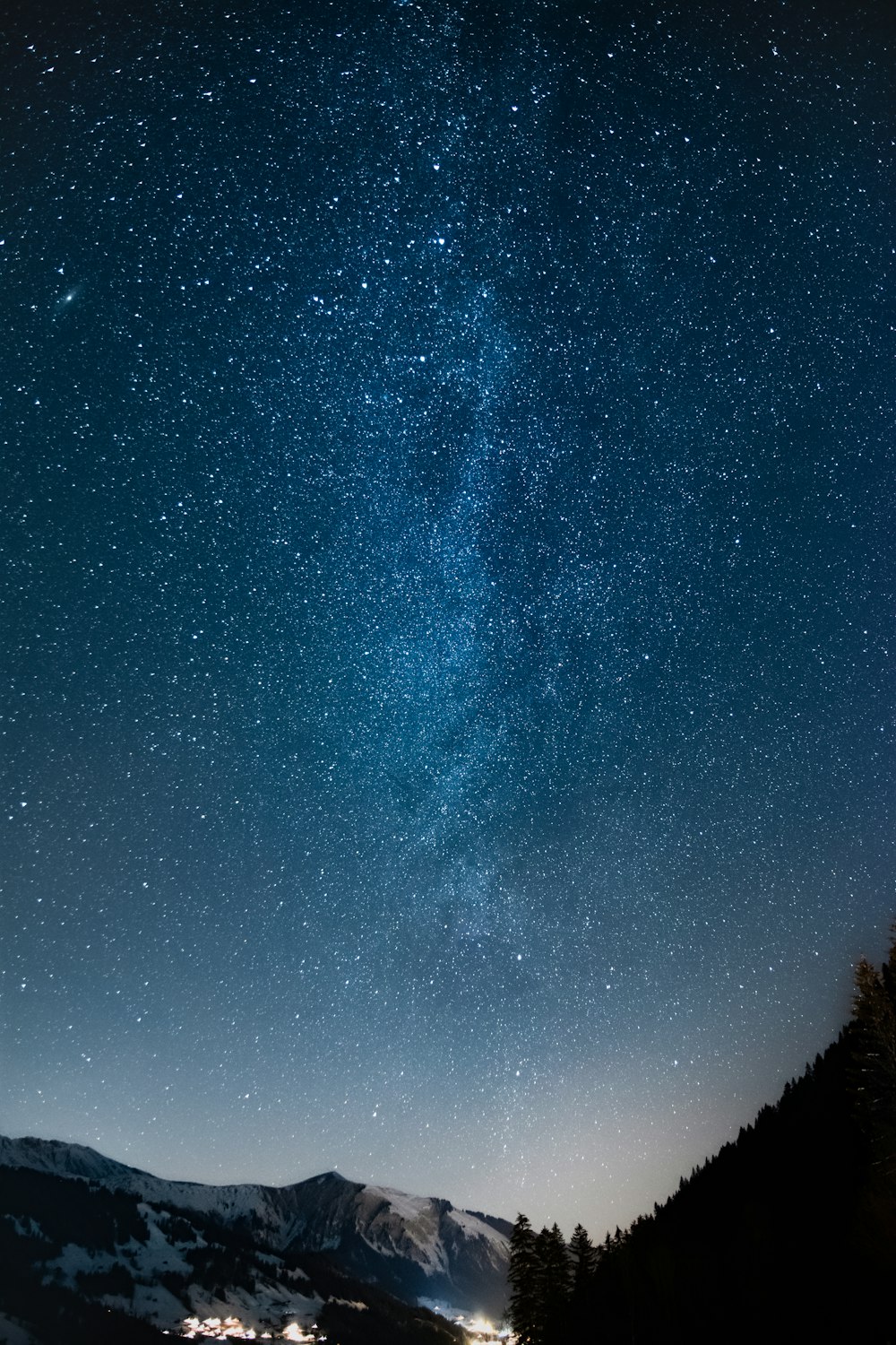 silhueta de árvores sob a noite estrelada