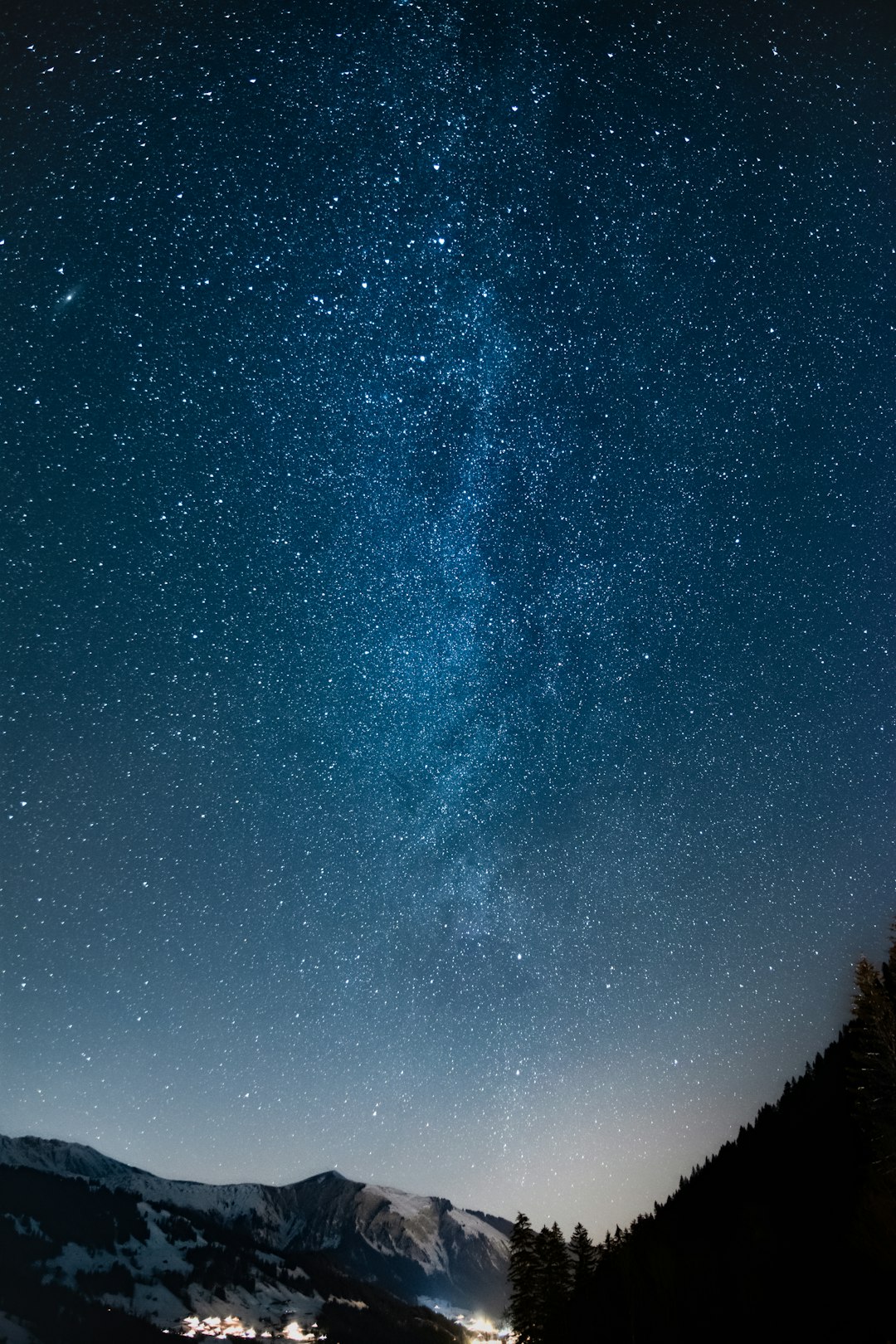 silhouette of trees under starry night