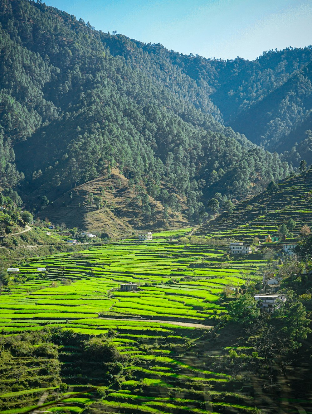 green grass field and mountain during daytime