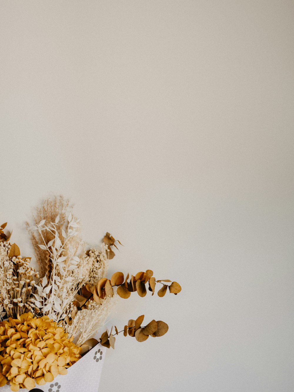 white flowers on white wall