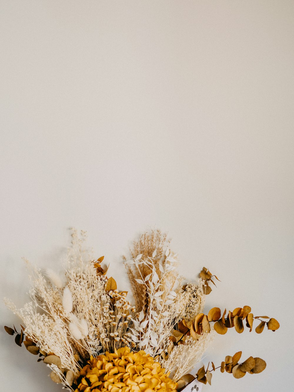 white flowers on white background