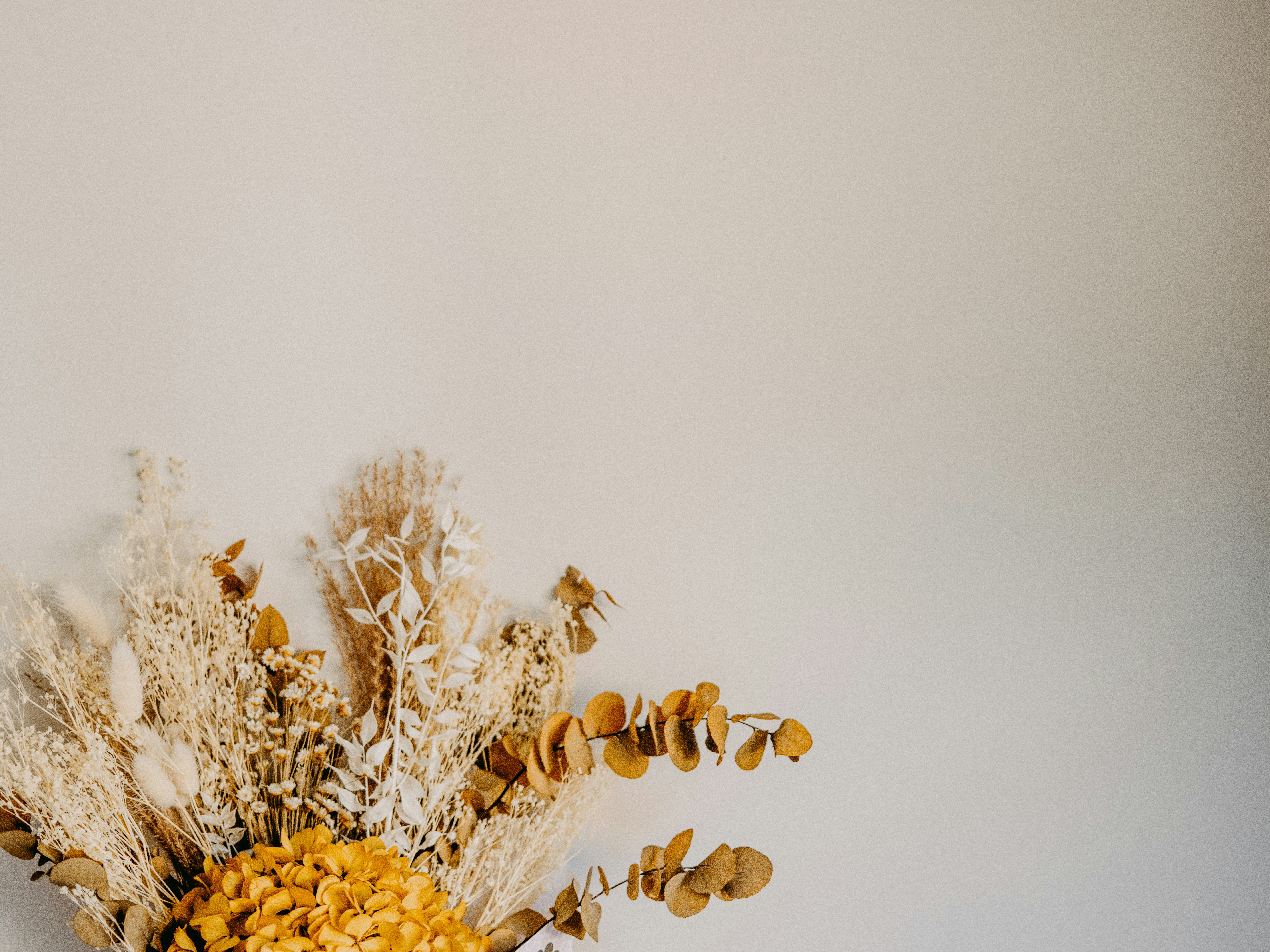 Photo by anniespratt