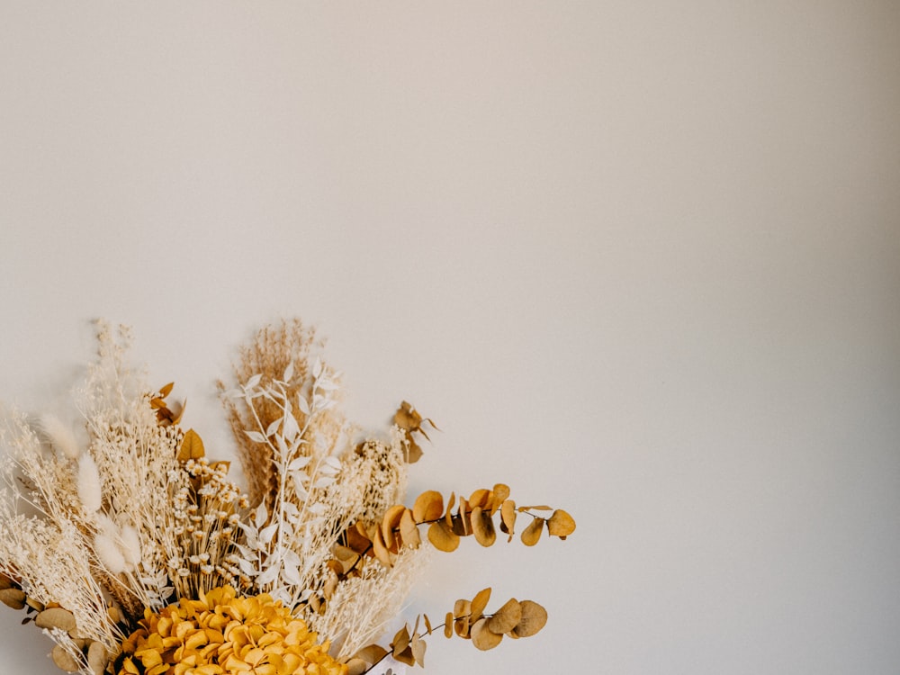 white flowers on white surface