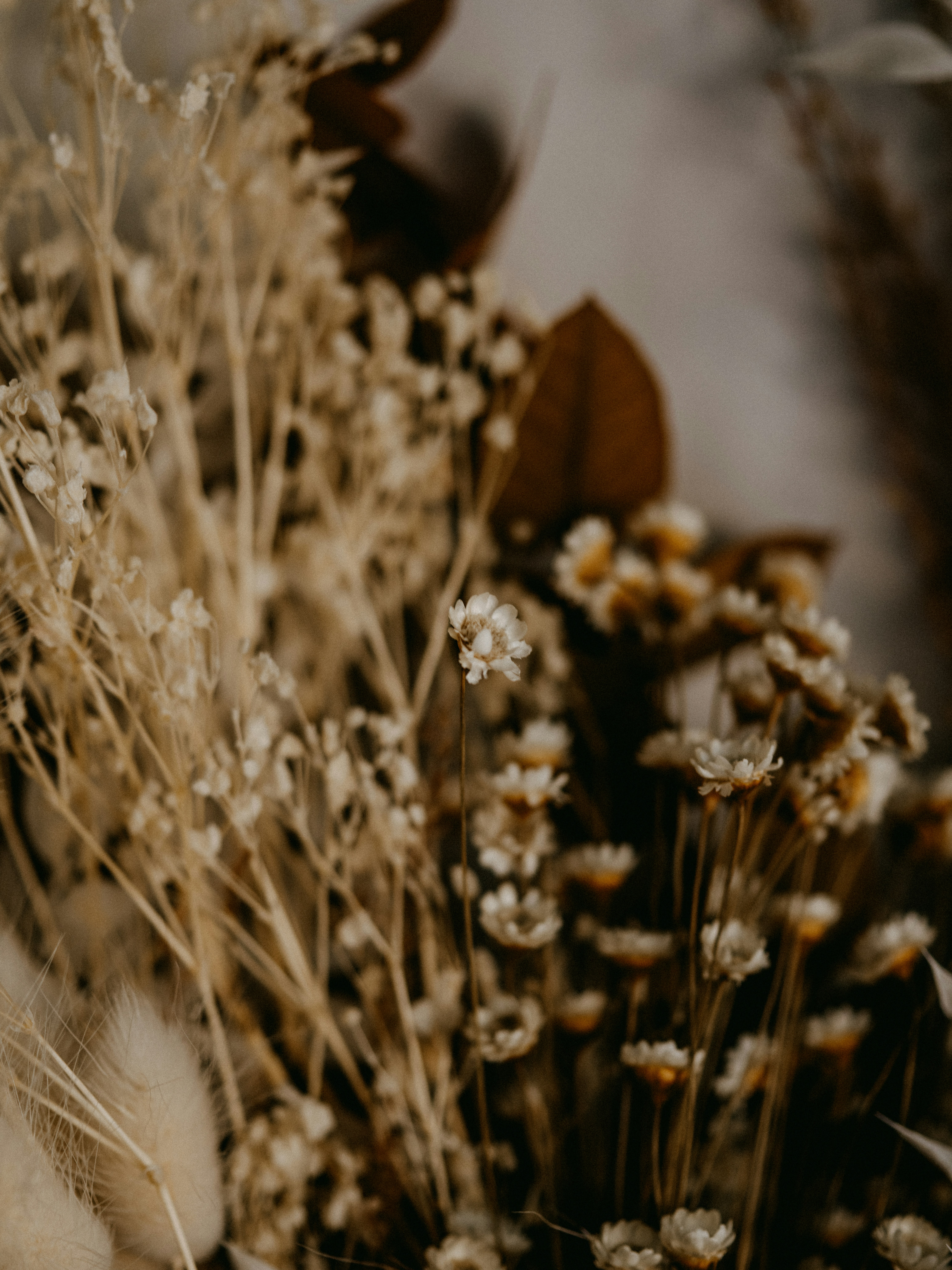 Photo by anniespratt