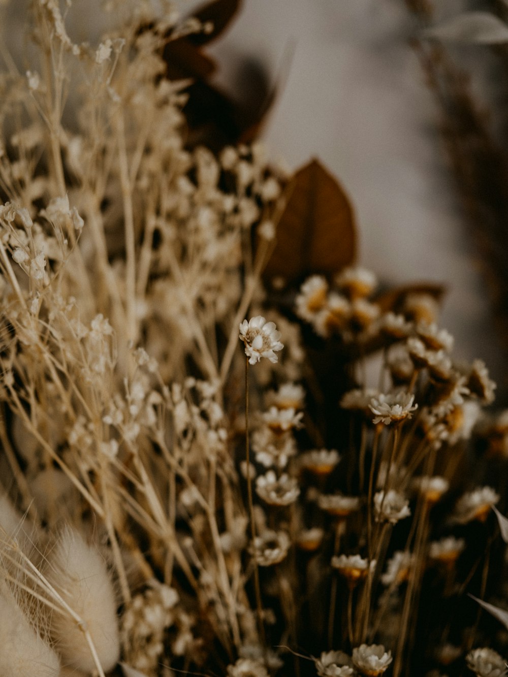 white flowers in tilt shift lens