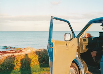 A professional driver opening car door for a passenger in a scenic coastal city setting.