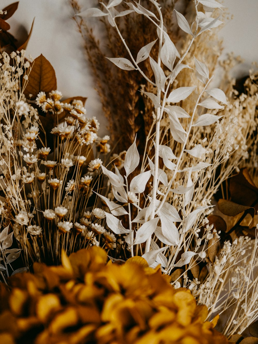 white flowers on brown dried leaves