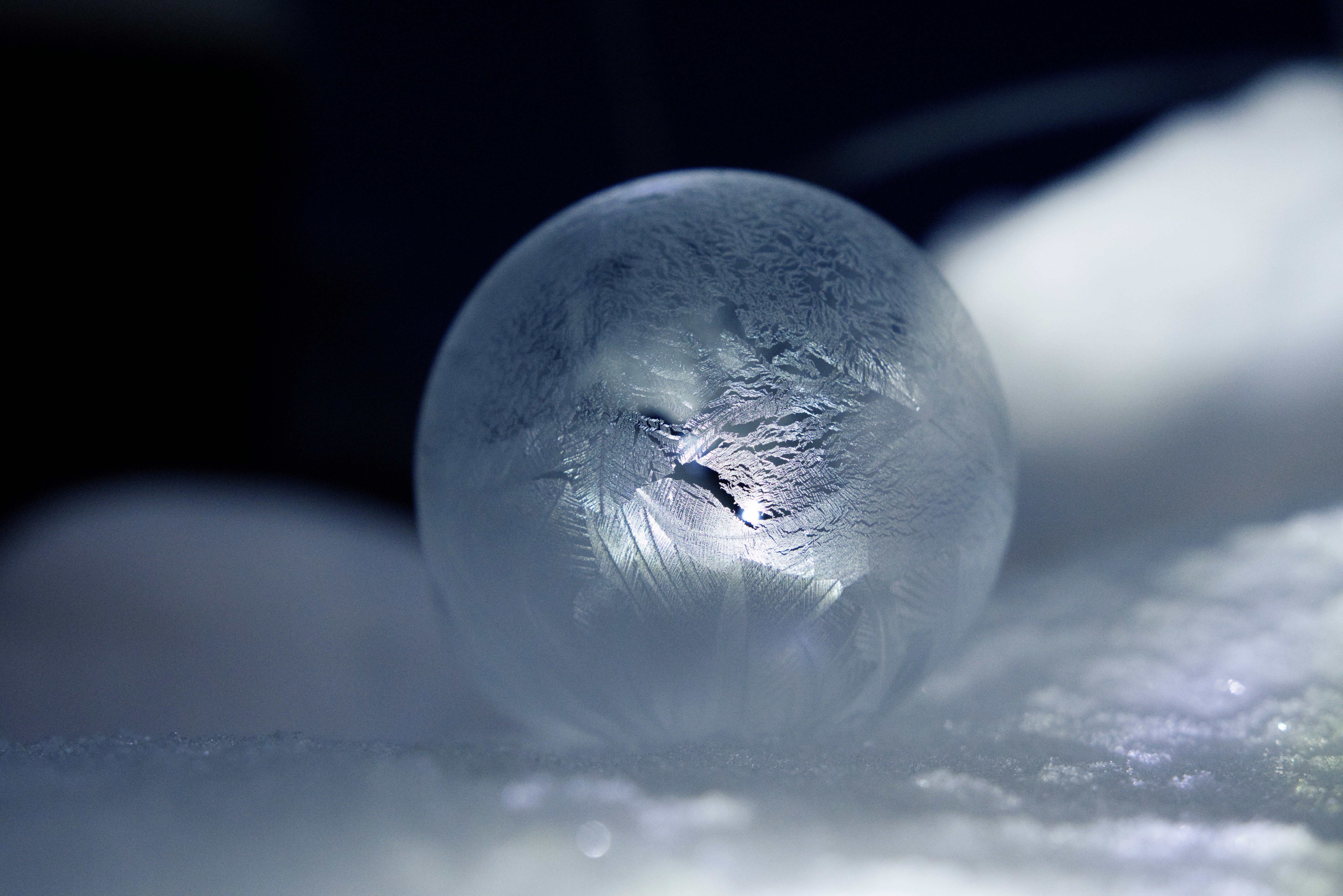 Photo by photasticlab