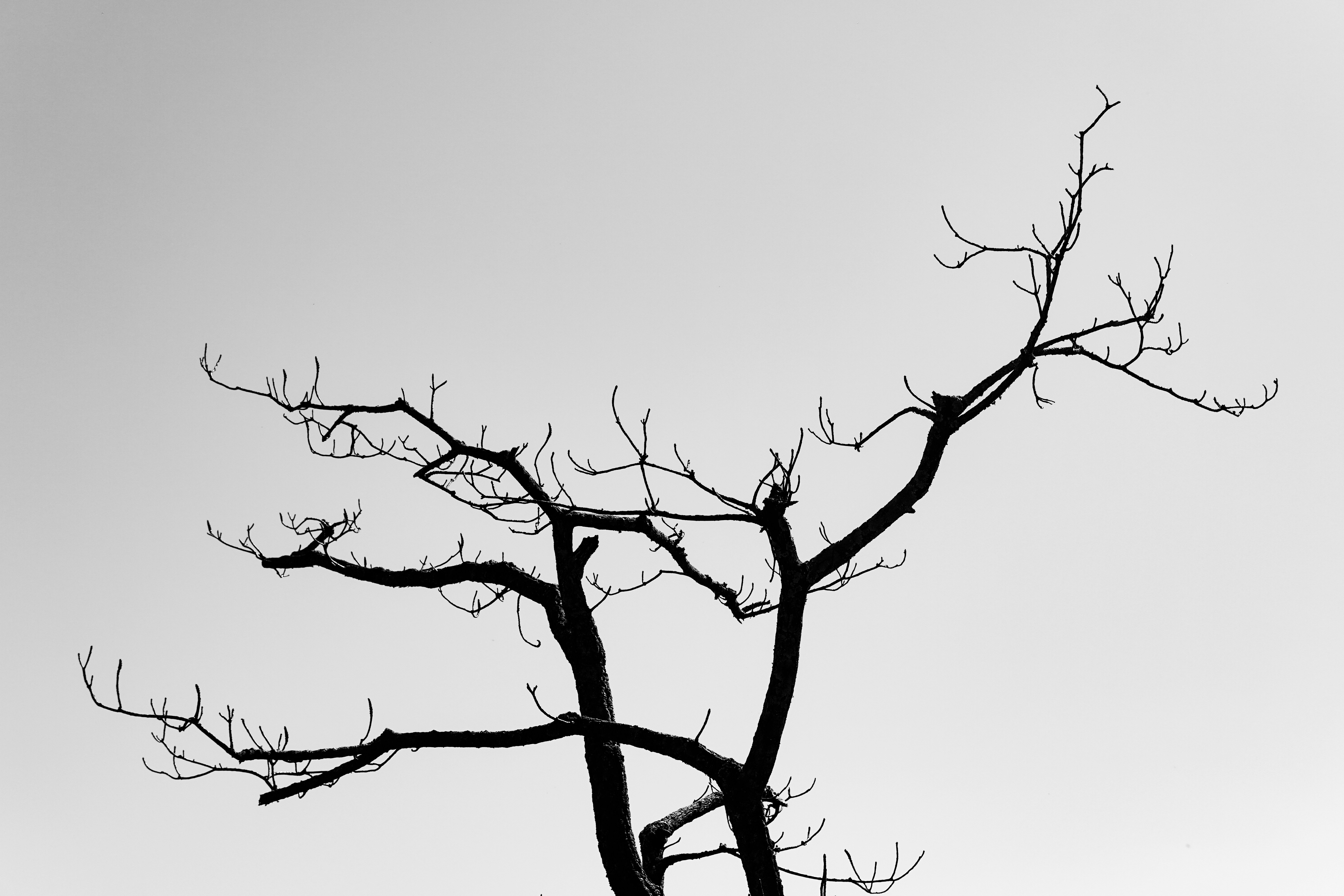 Photo by ketandesign