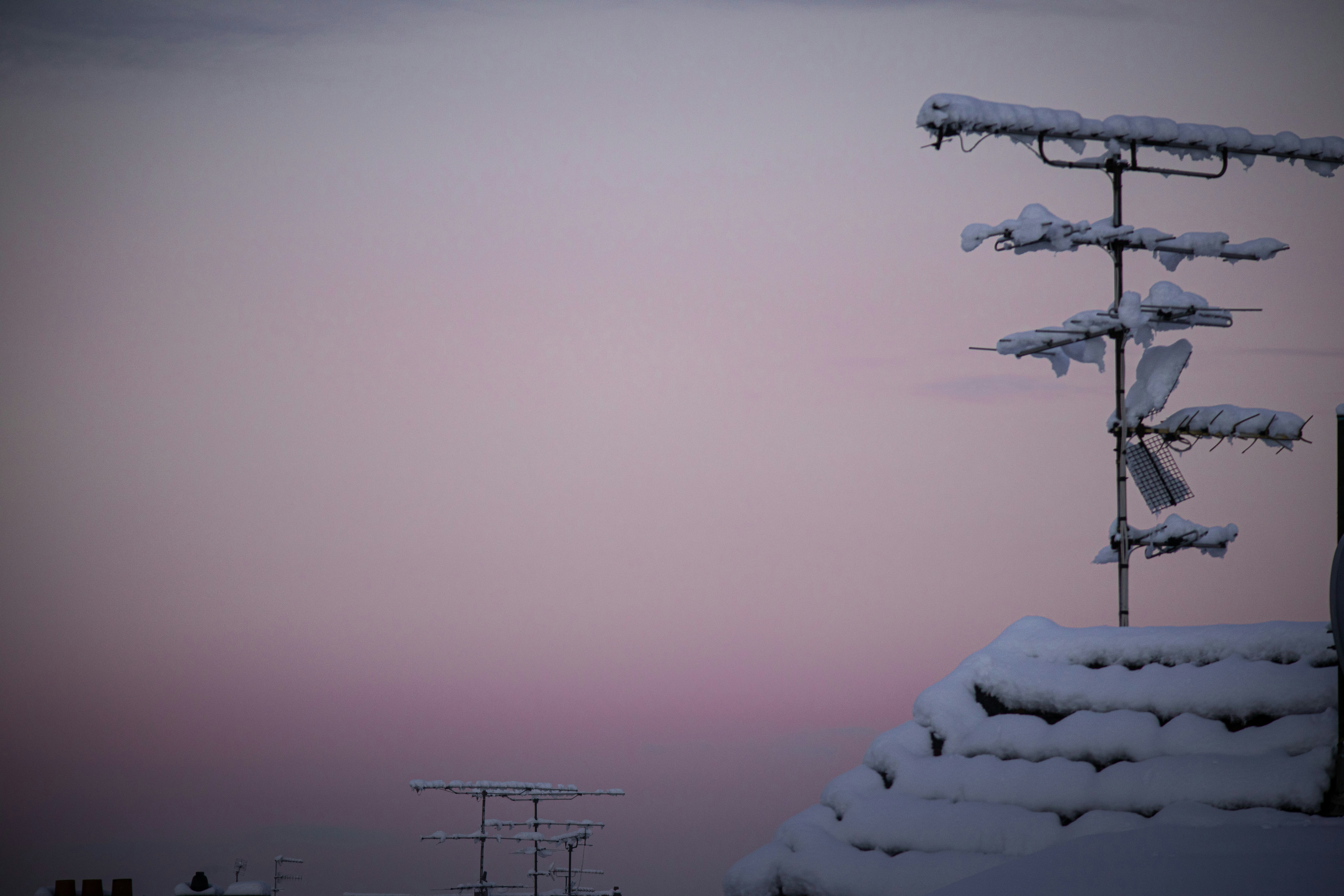 Photo by claire_zhu_