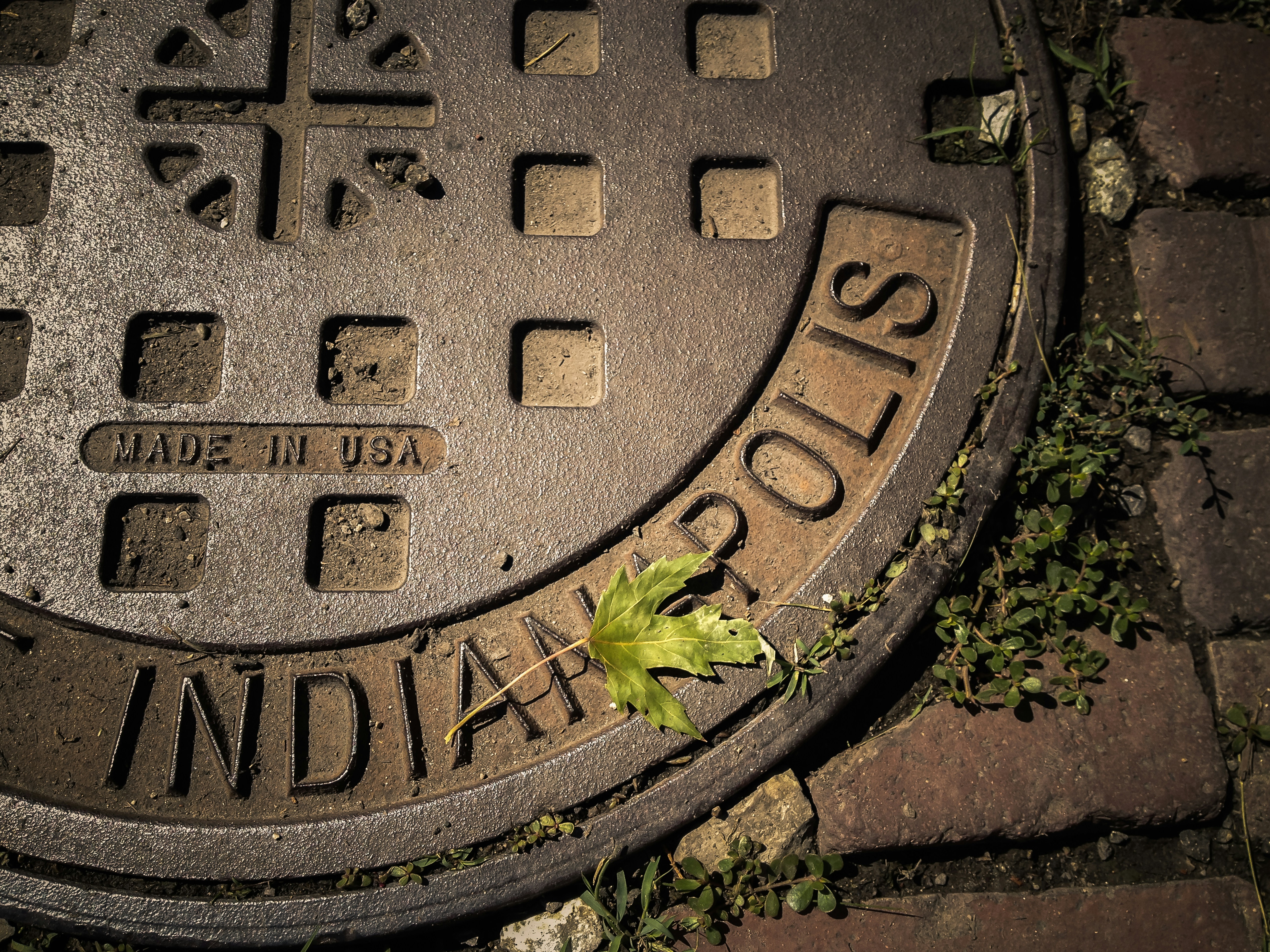 The Joy of Finally Using That Tool You Bought 3 Years Ago in Indianapolis