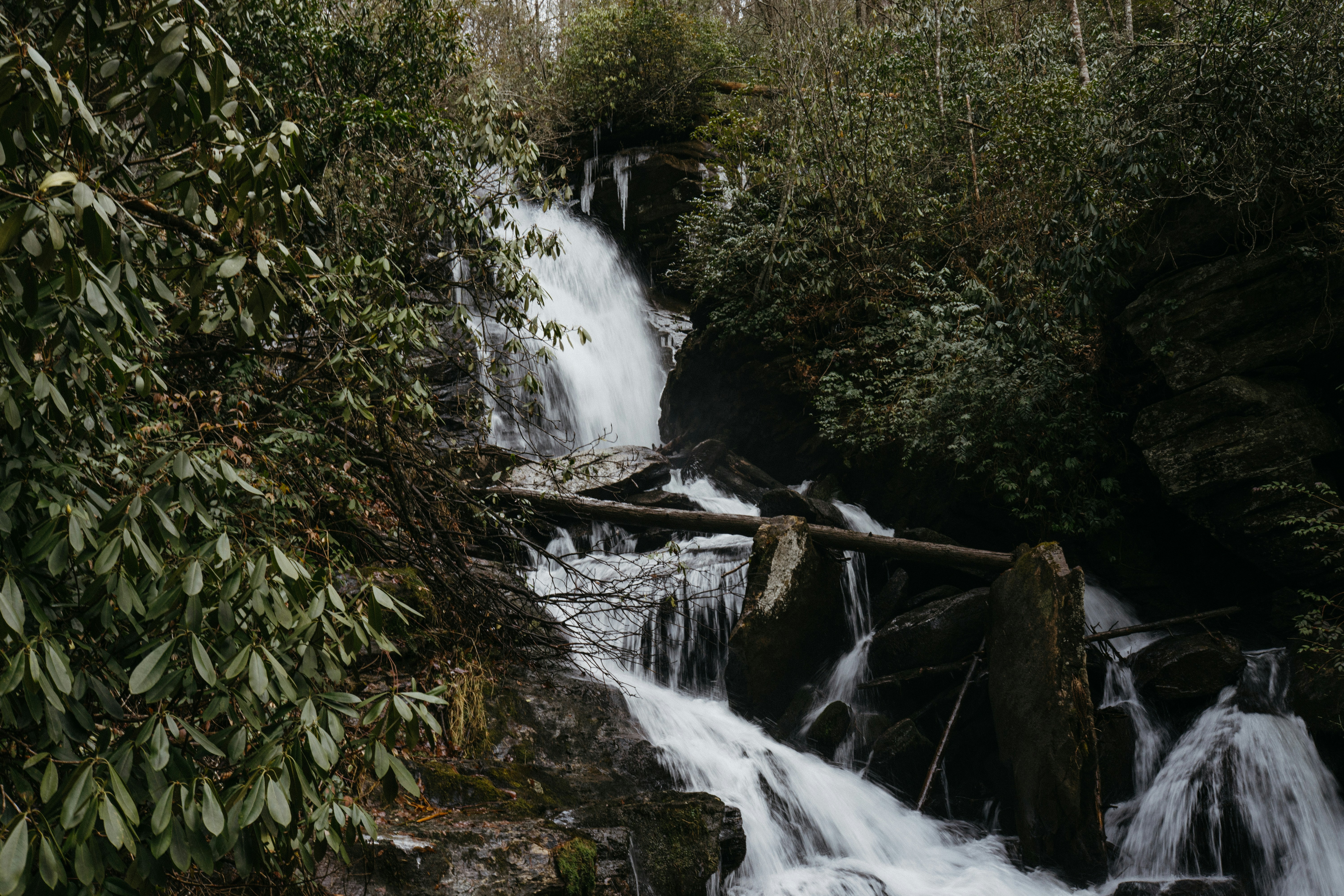 Photo by coreymoconnell1