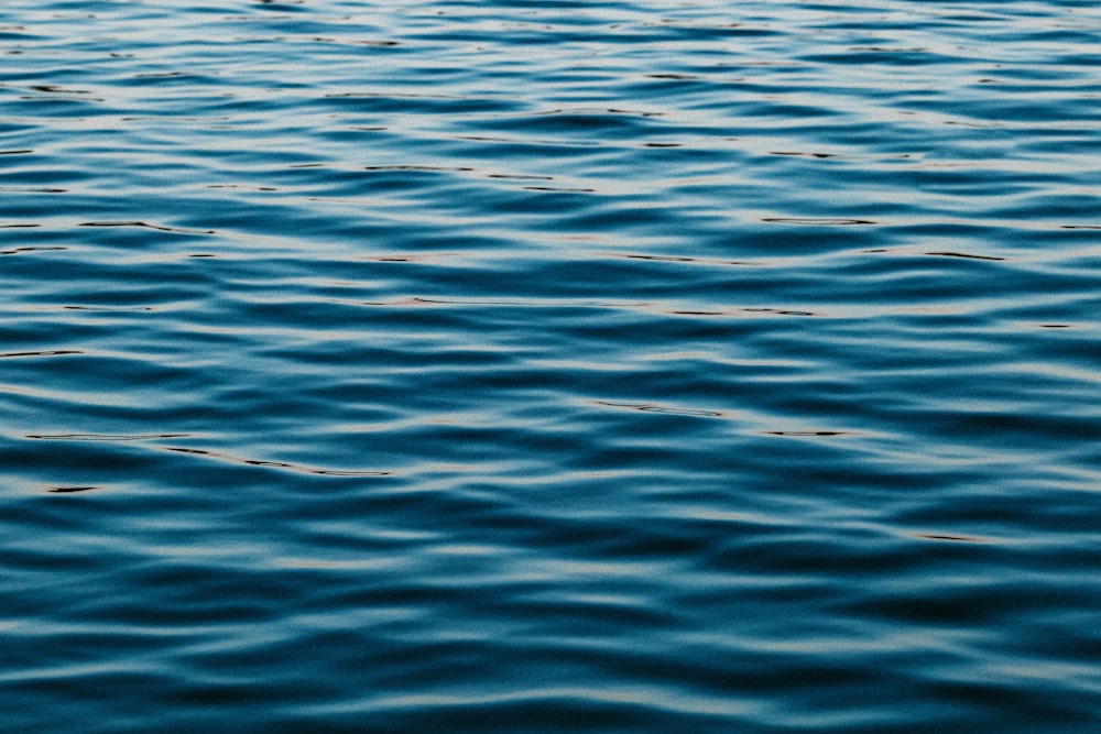 Cuerpo de agua azul durante el día