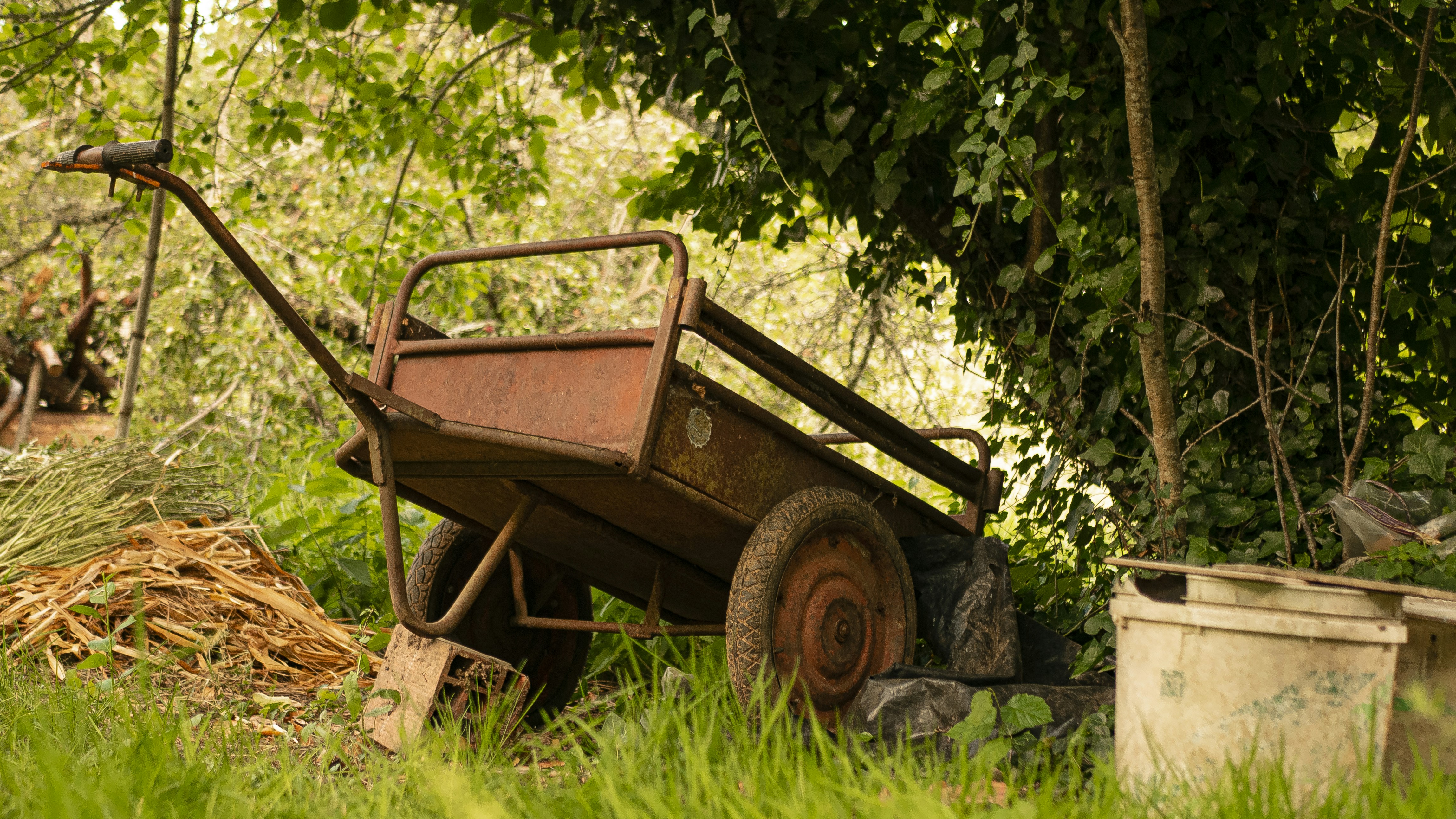 Photo by moasisproductions