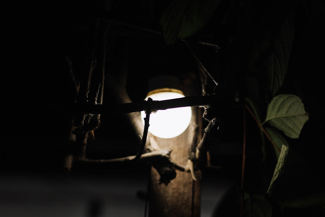 black and white pendant lamp turned on during nighttime