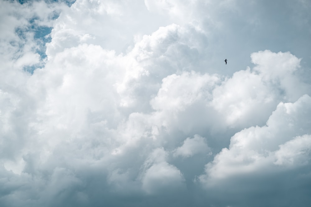 black bird flying under white clouds during daytime