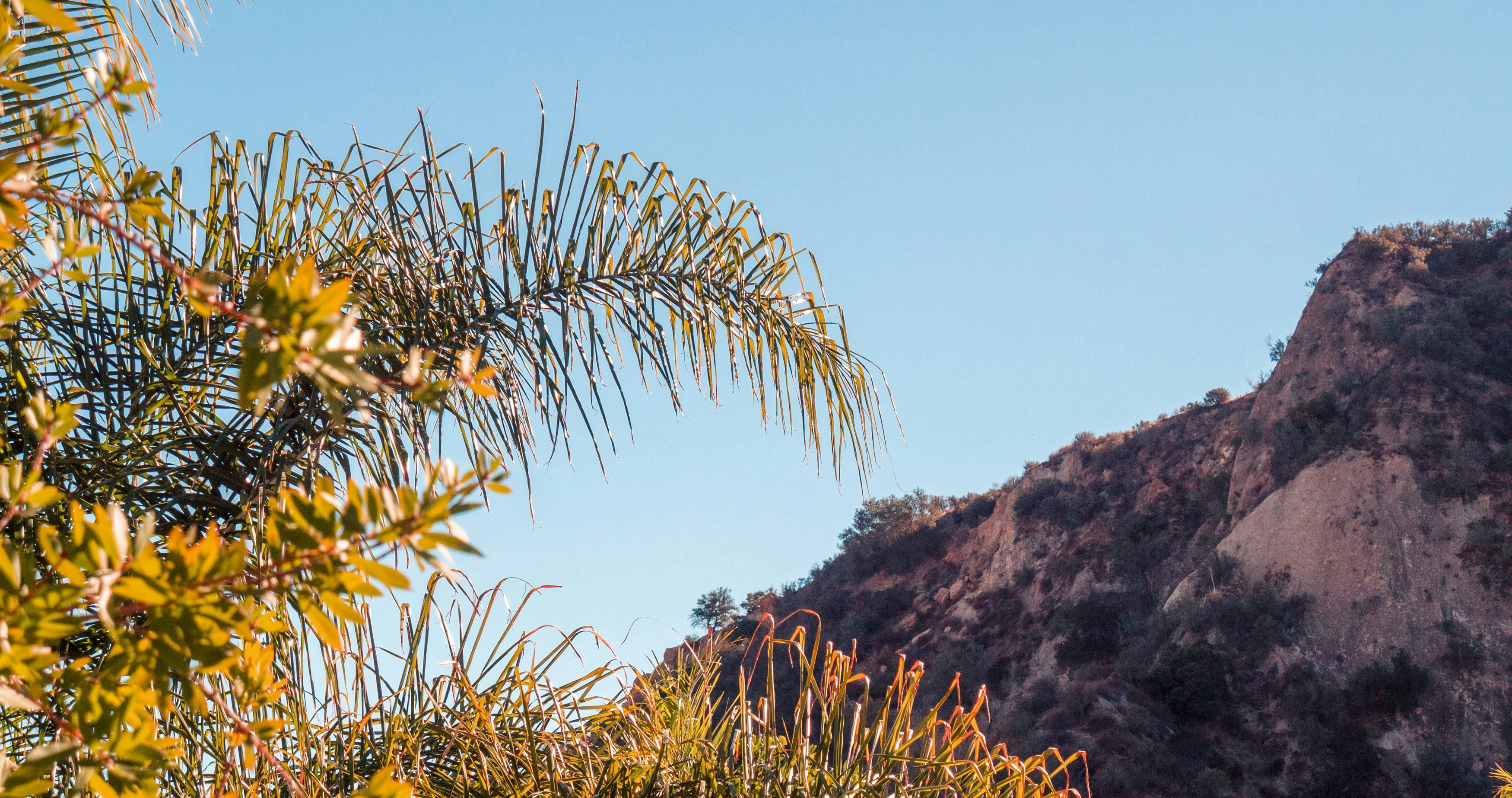 Photo by _nickwright_