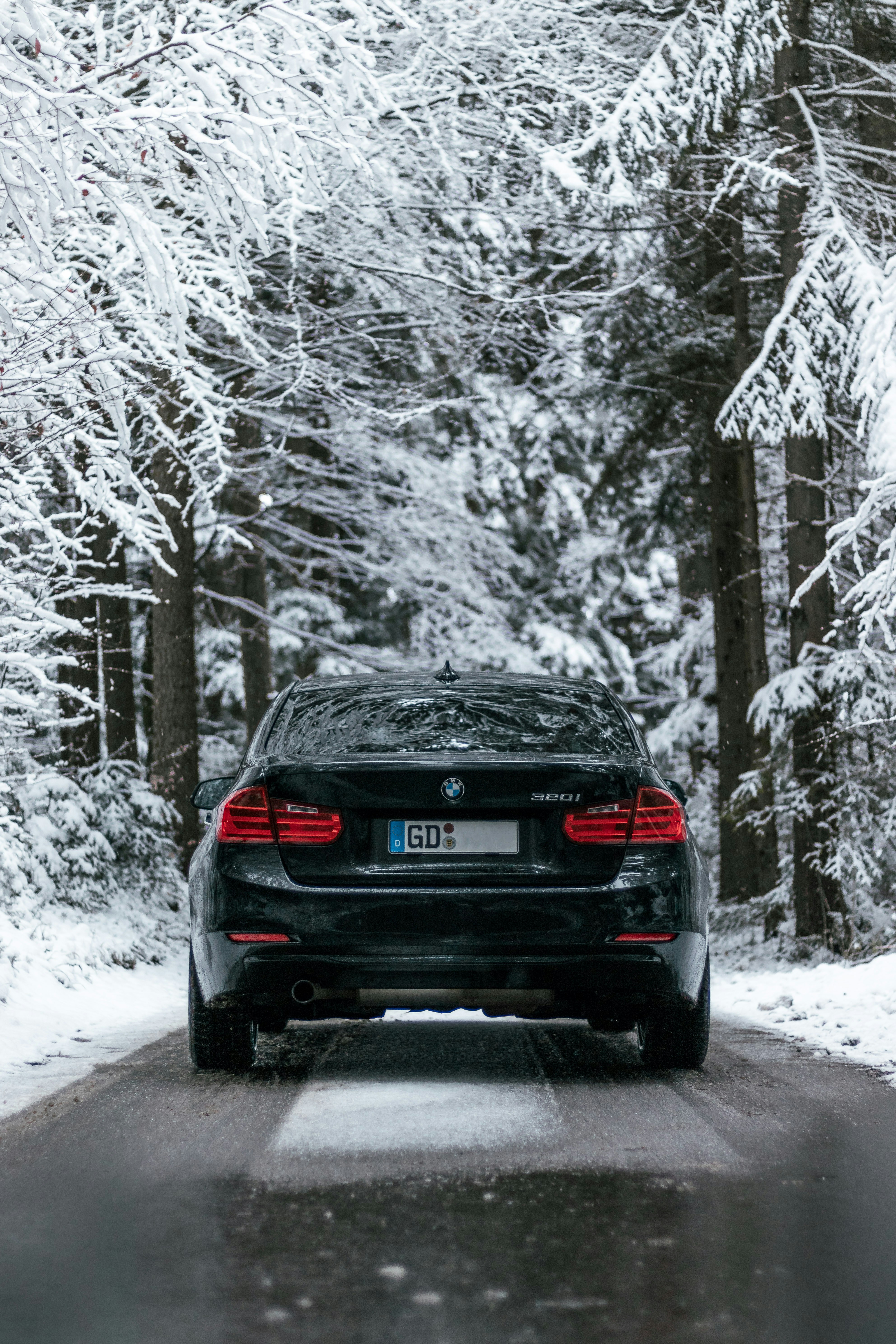 Black BMW 320i in the snowy forest