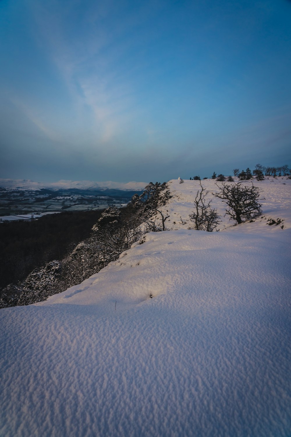 snow covered field and trees during daytime