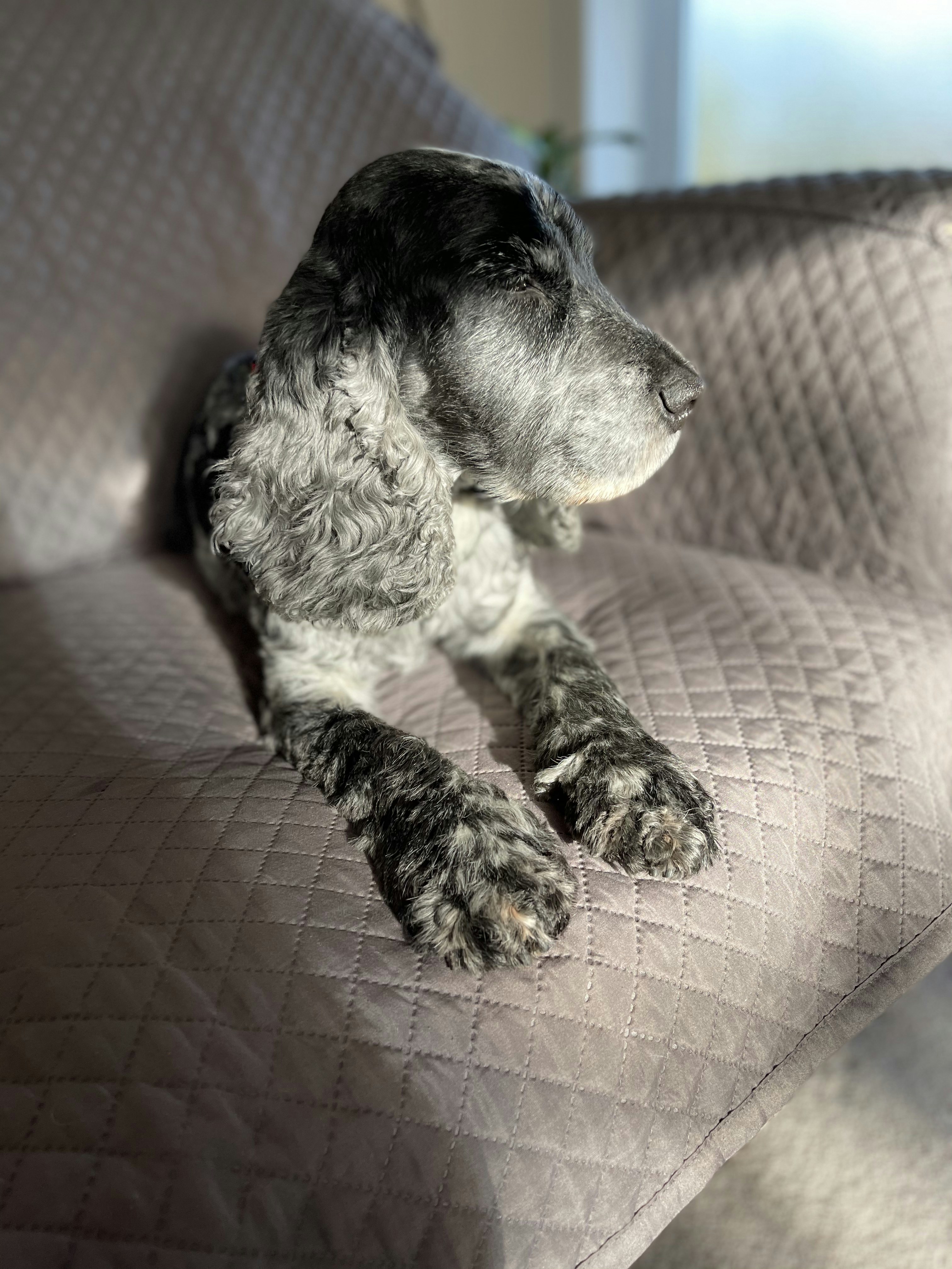 Book Your Appointment