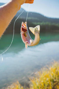 Cursos de Drones para pesca y cría de peces
