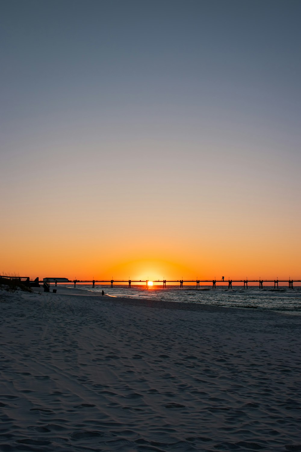 silhouette of people on beach during sunset