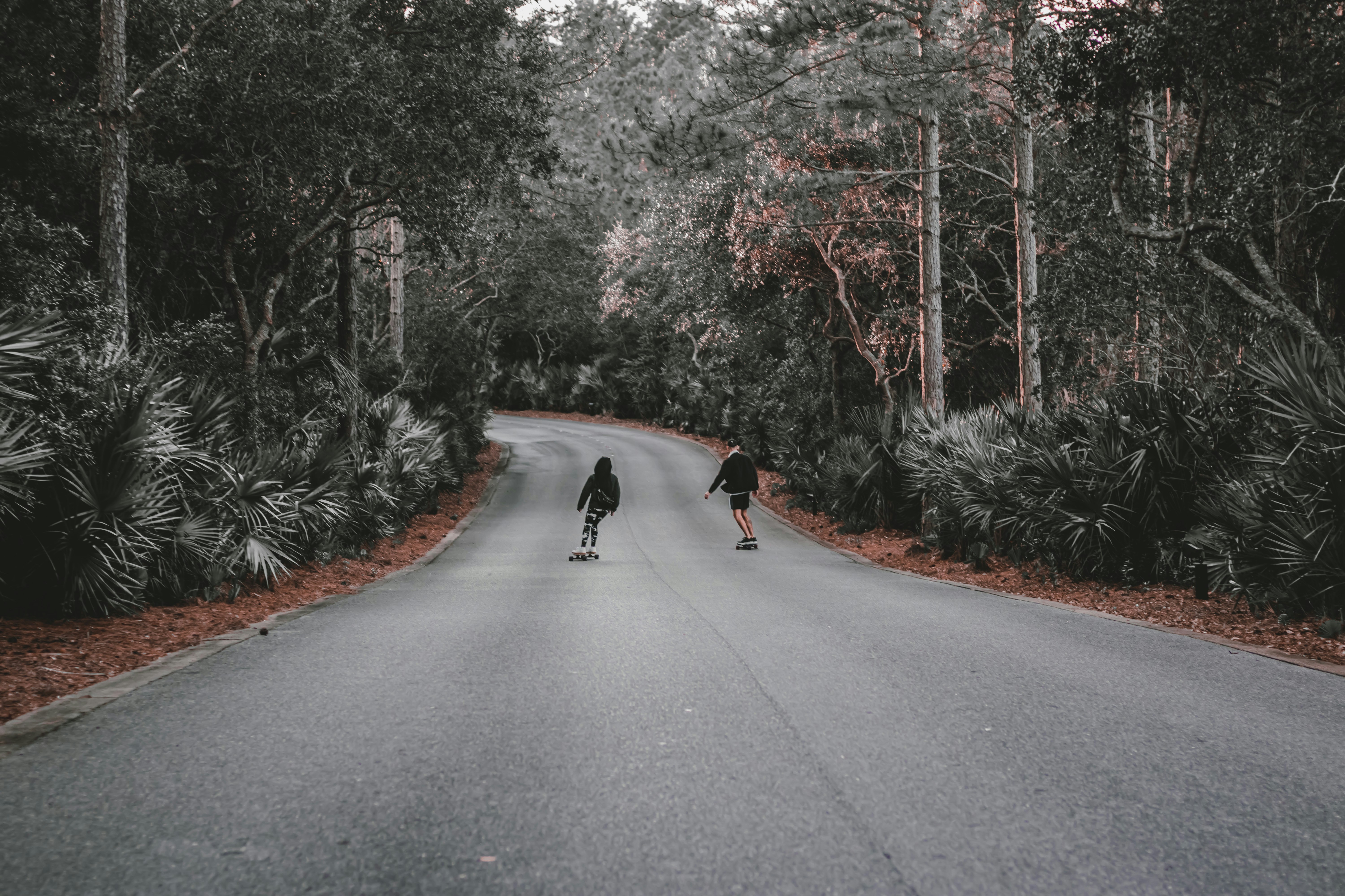 black dog on gray asphalt road during daytime