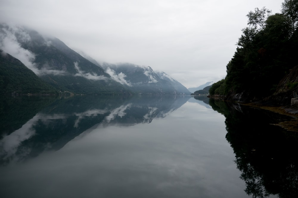 green trees beside lake during daytime