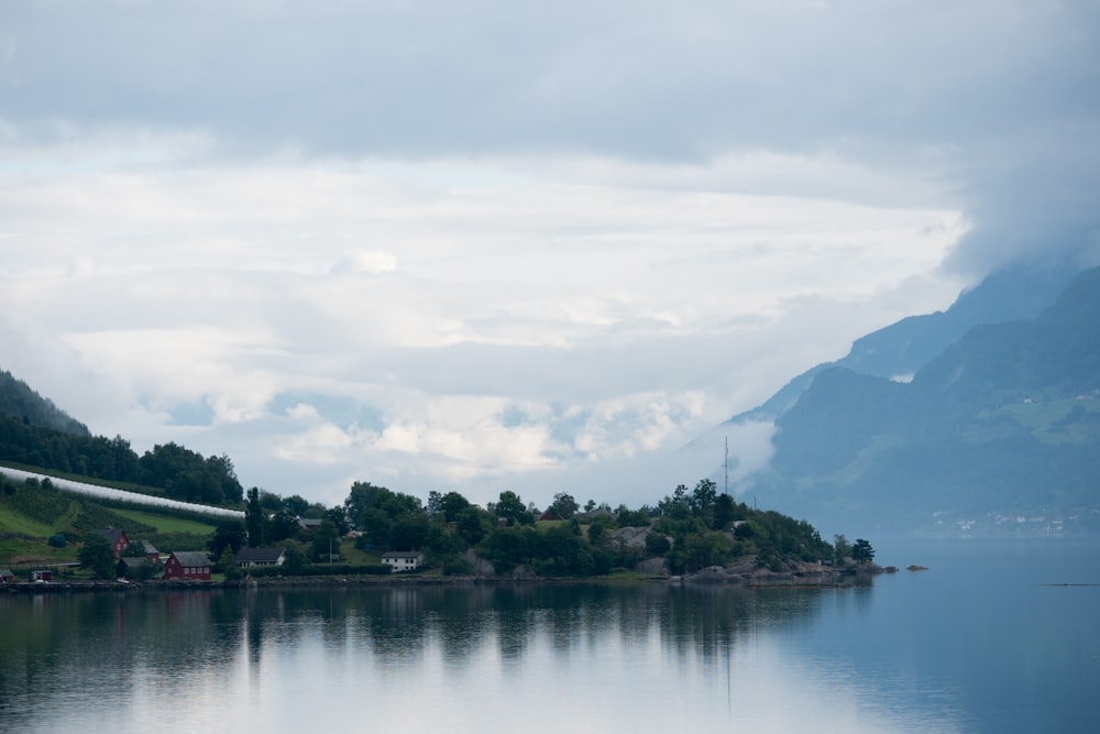 green trees near lake under white clouds during daytime