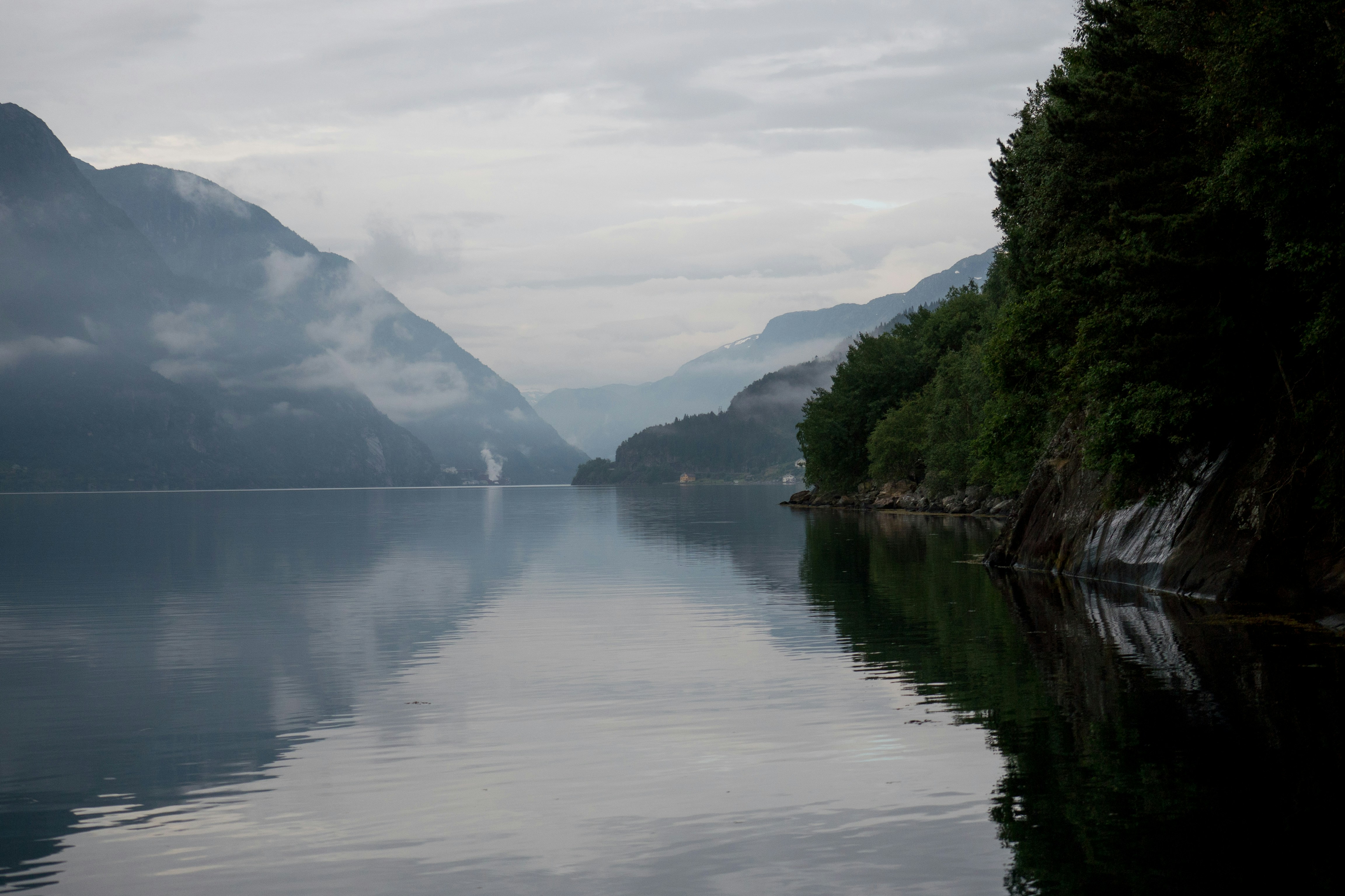 green trees near lake under white sky during daytime, Norway - ideal fjord reflection in clear water. The view from the ferry on the narrowest fjord in Norway