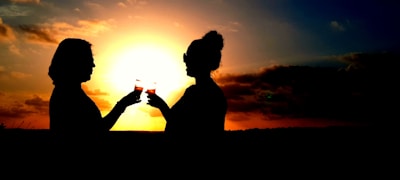 Guests raising glasses in a toast against the backdrop of a stunning sunset view.