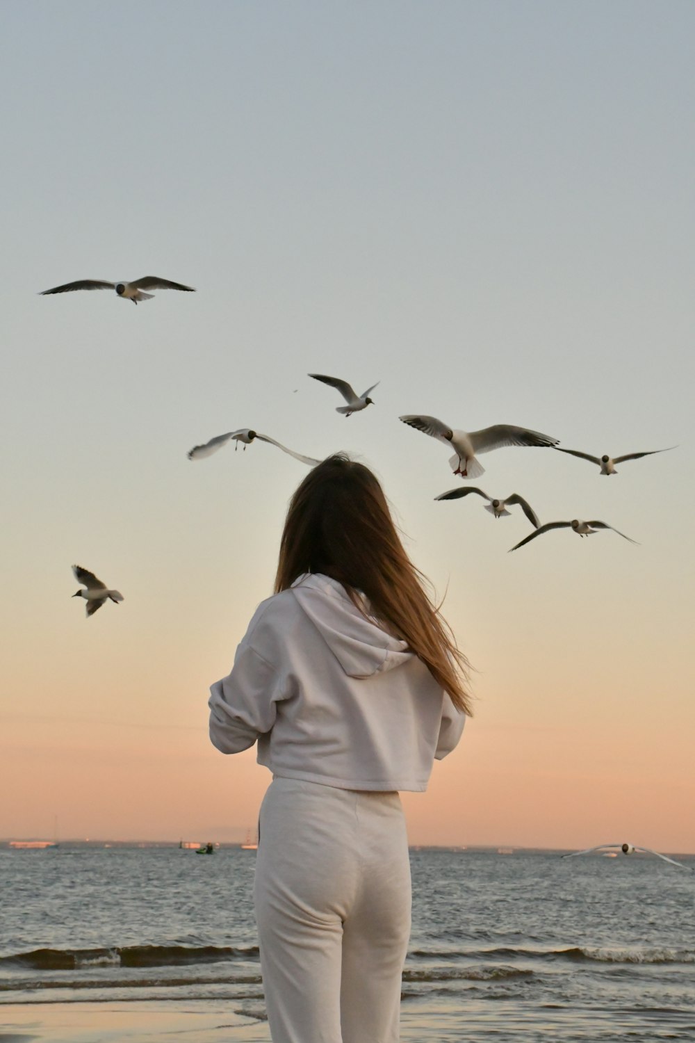 白い長袖シャツを着た女性が昼間を飛ぶ鳥を眺めている